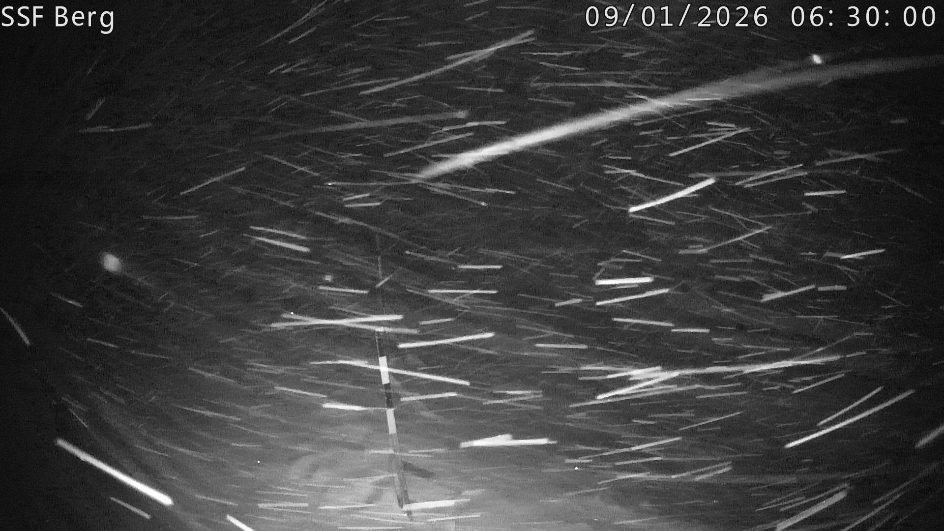 Archived image Webcam Mutta - Alp Raguta