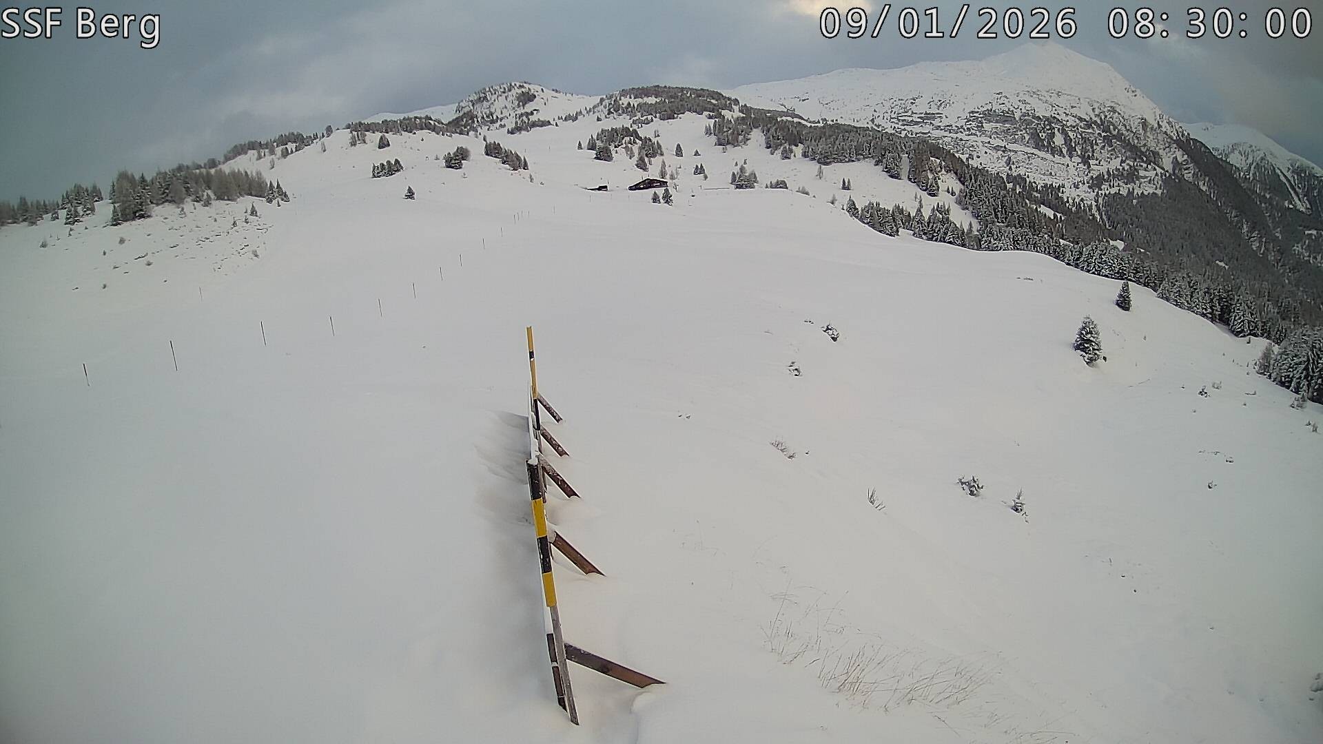 Archived image Webcam Mutta - Alp Raguta