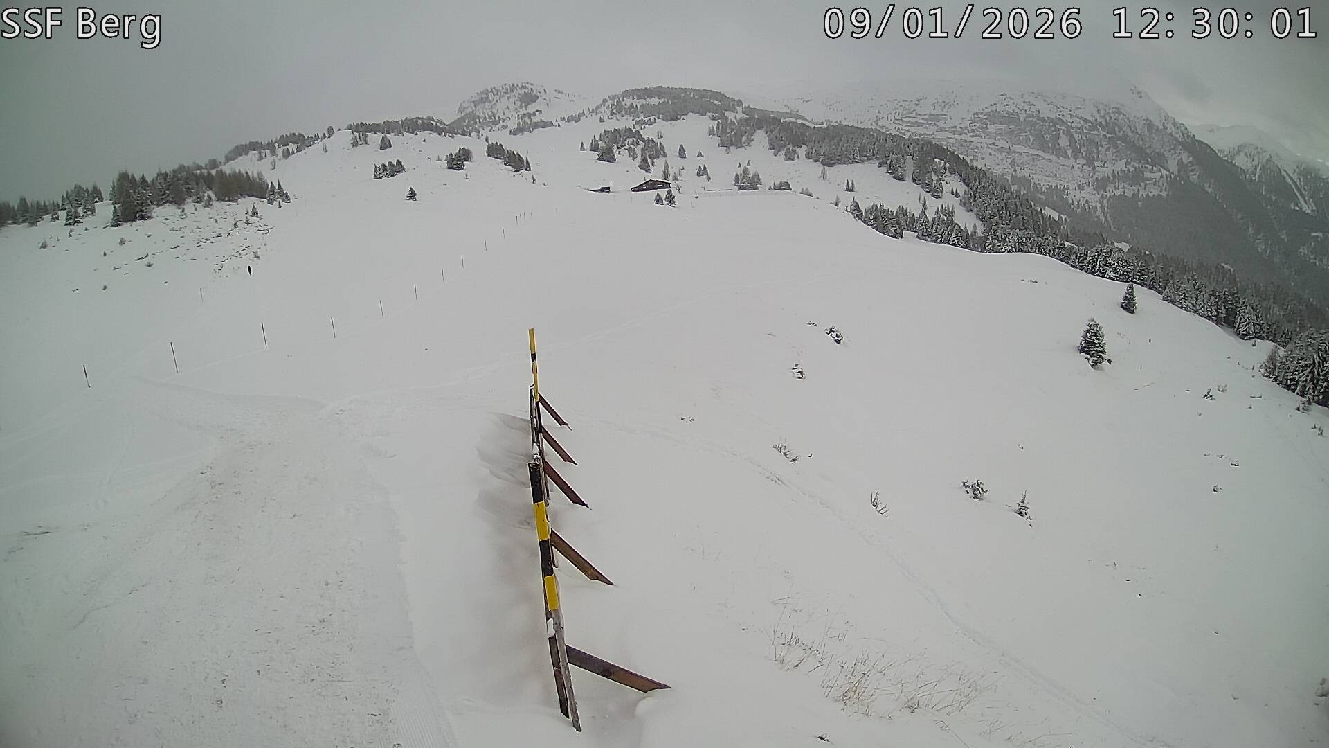 Archived image Webcam Mutta - Alp Raguta