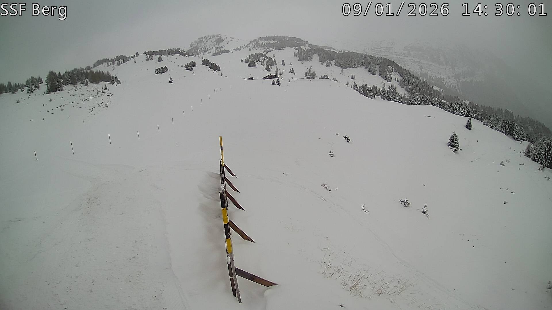 Archived image Webcam Mutta - Alp Raguta