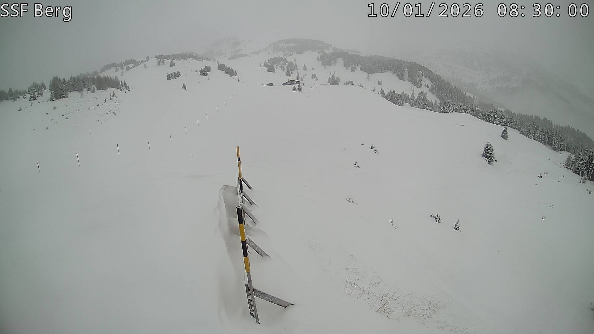 Archiv Foto Webcam Mutta Richtung Alp Raguta