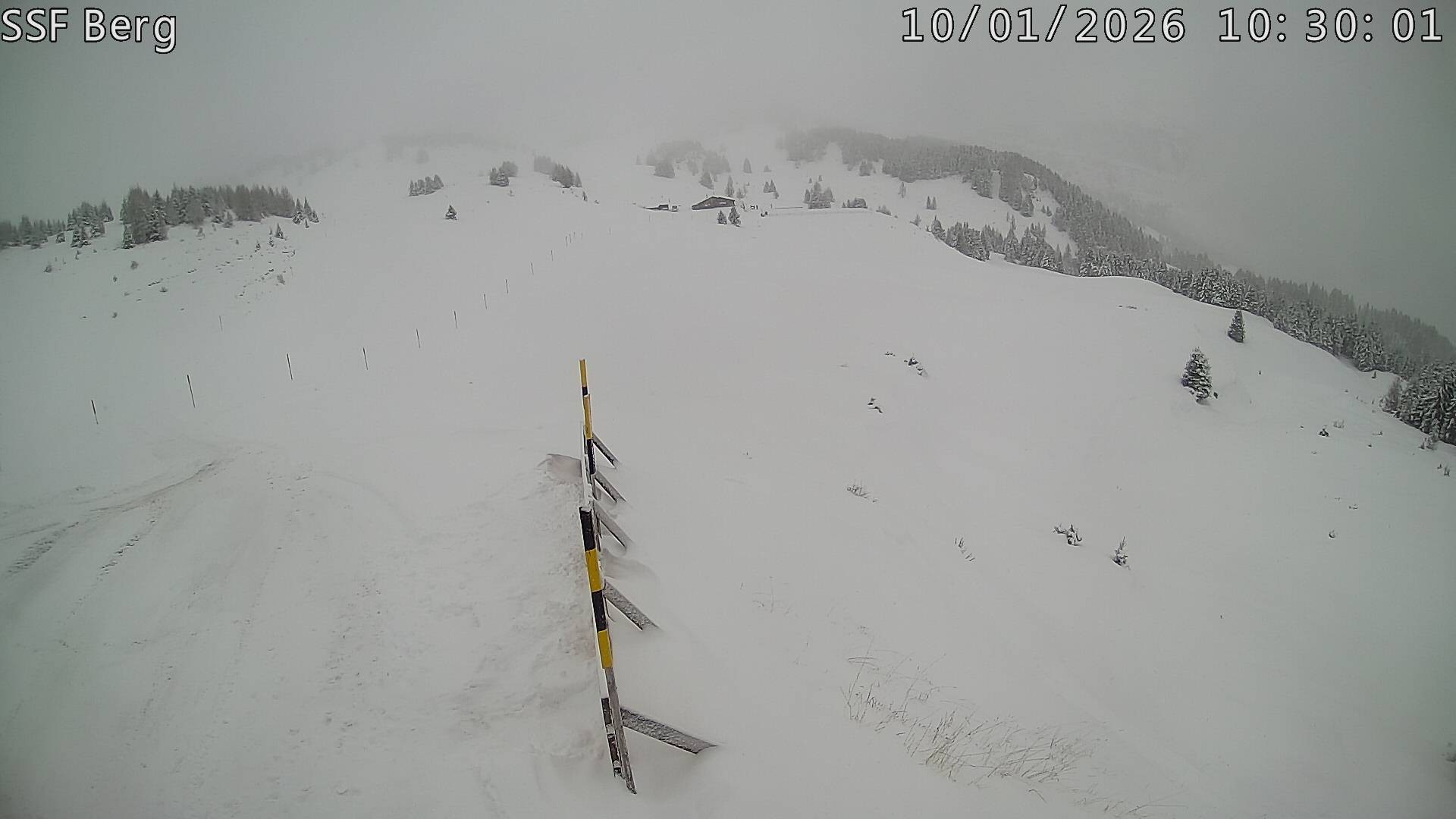 Archiv Foto Webcam Mutta Richtung Alp Raguta