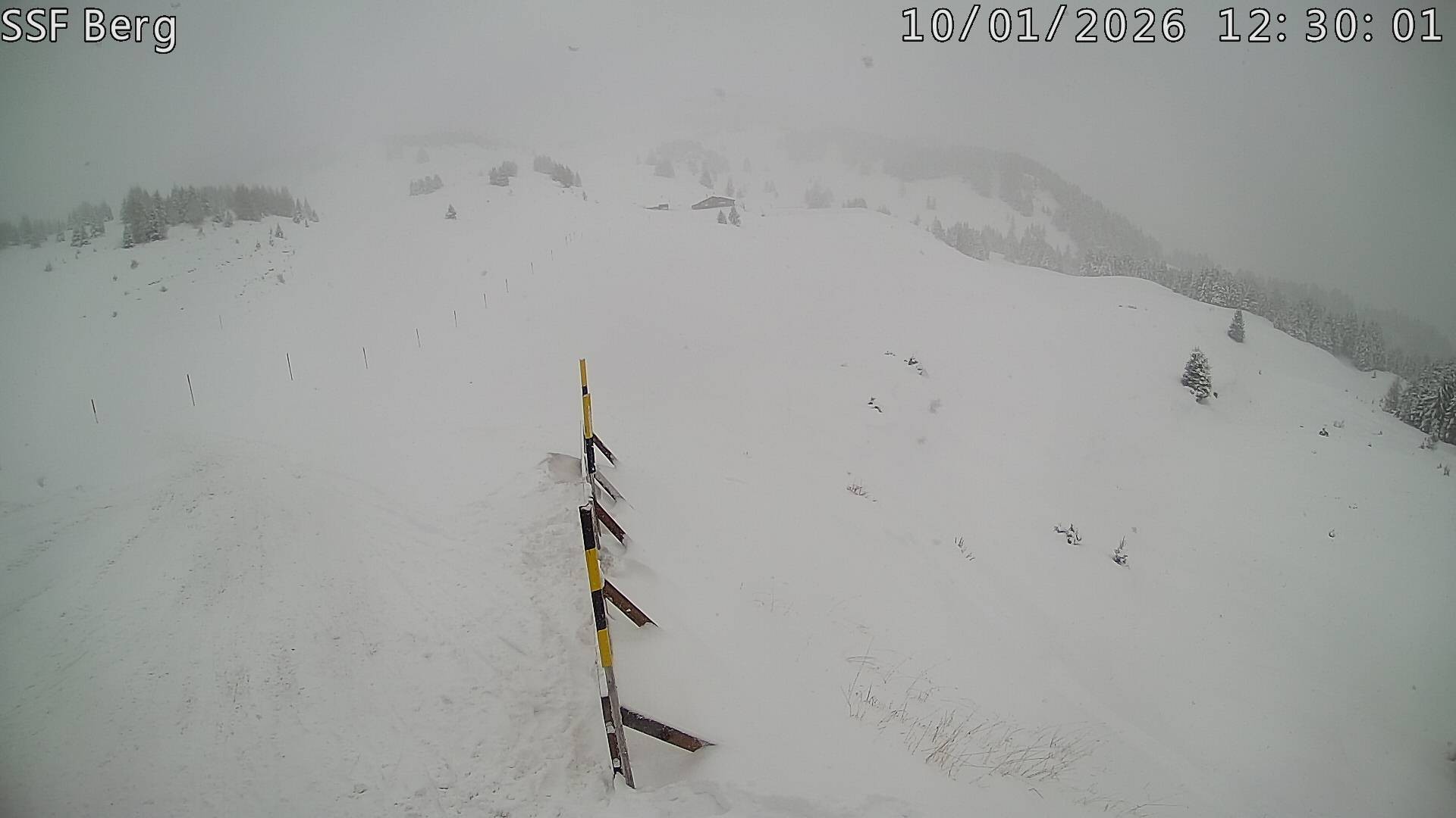 Archiv Foto Webcam Mutta Richtung Alp Raguta