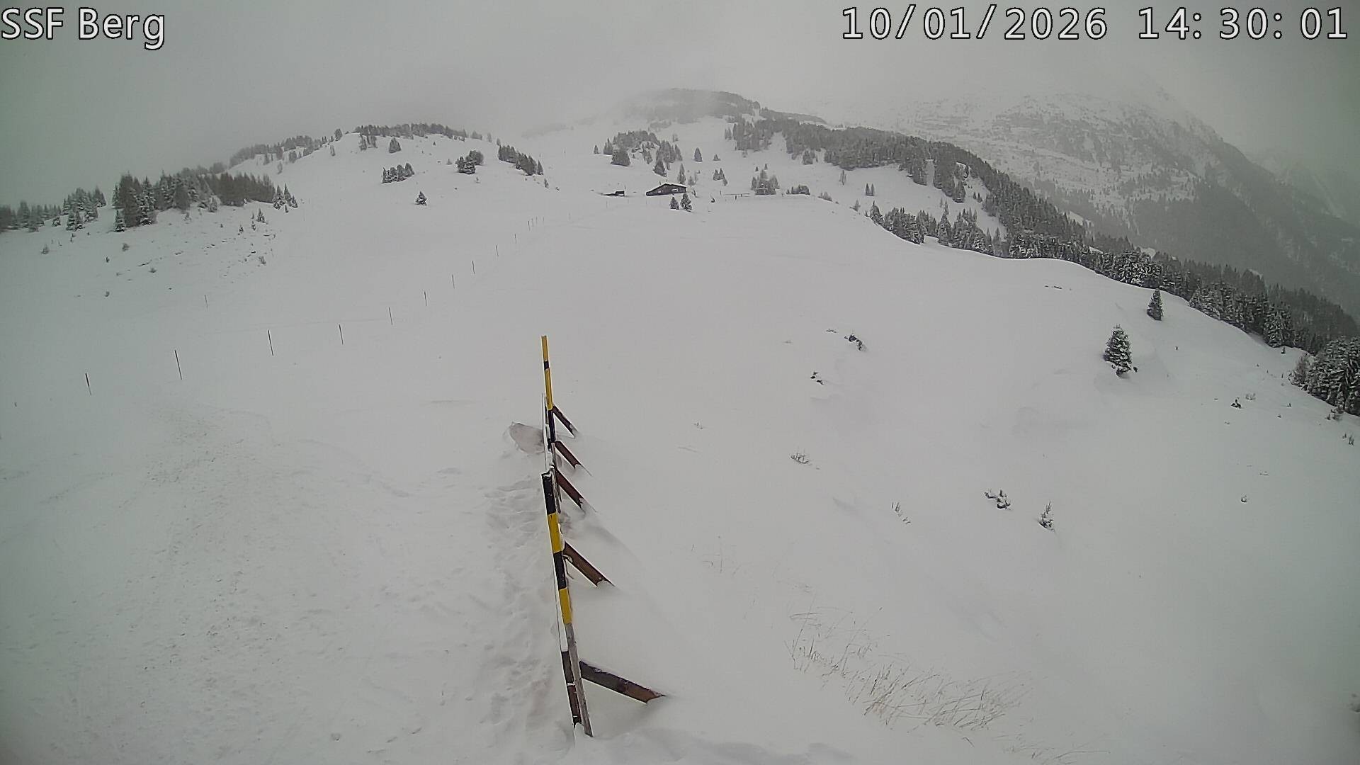 Archiv Foto Webcam Mutta Richtung Alp Raguta