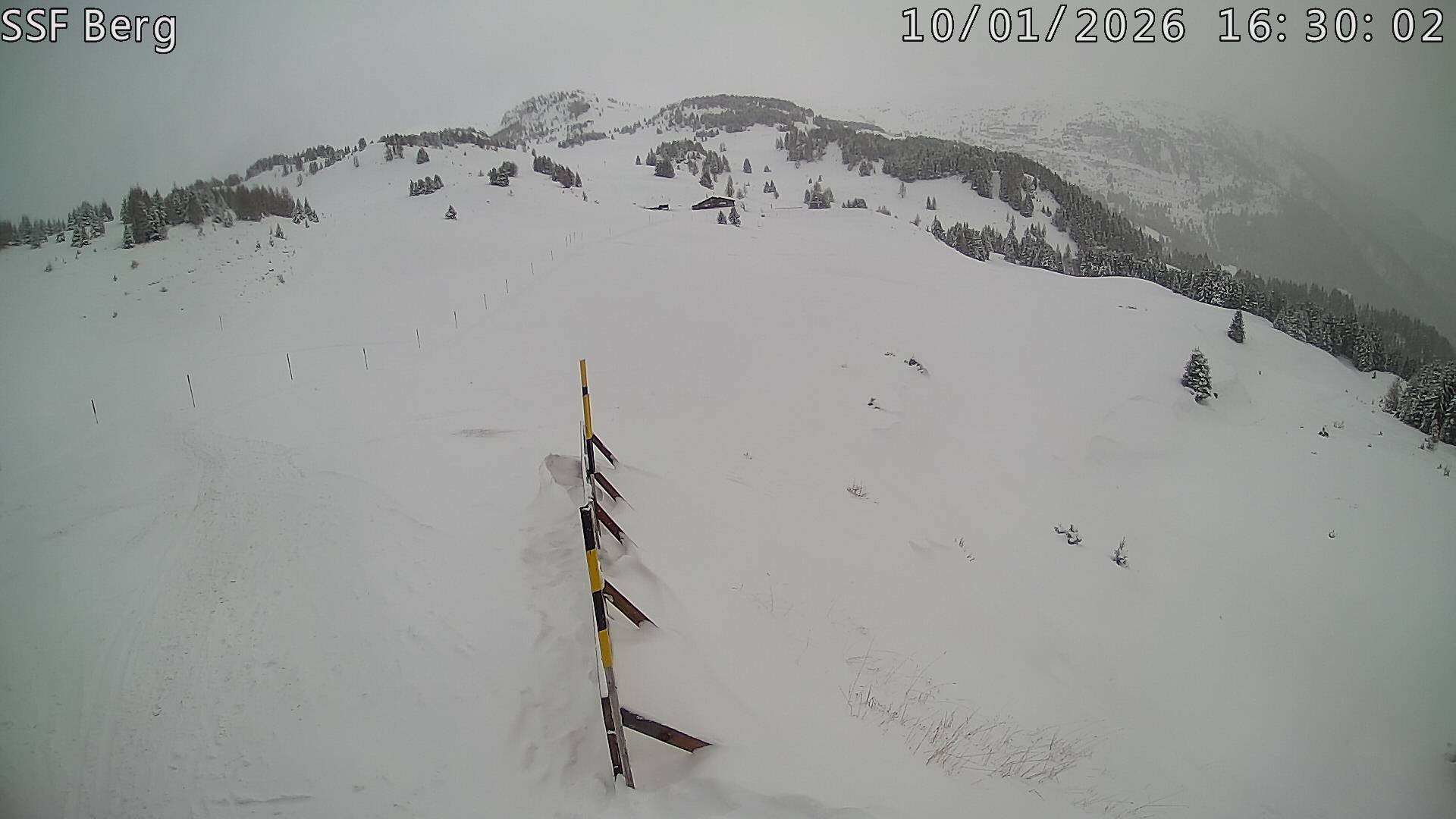 Archiv Foto Webcam Mutta Richtung Alp Raguta