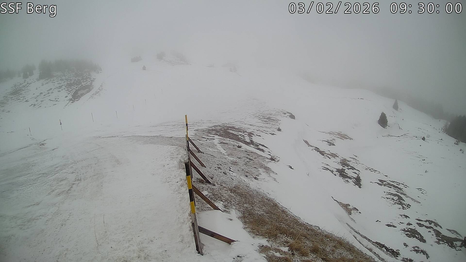 Archived image Webcam Mutta - Alp Raguta