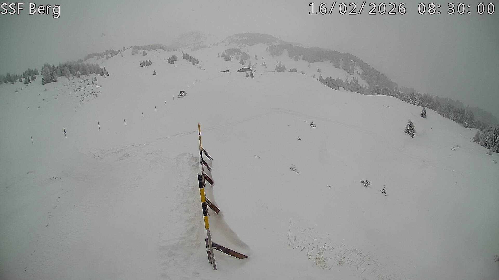 Archiv Foto Webcam Mutta Richtung Alp Raguta