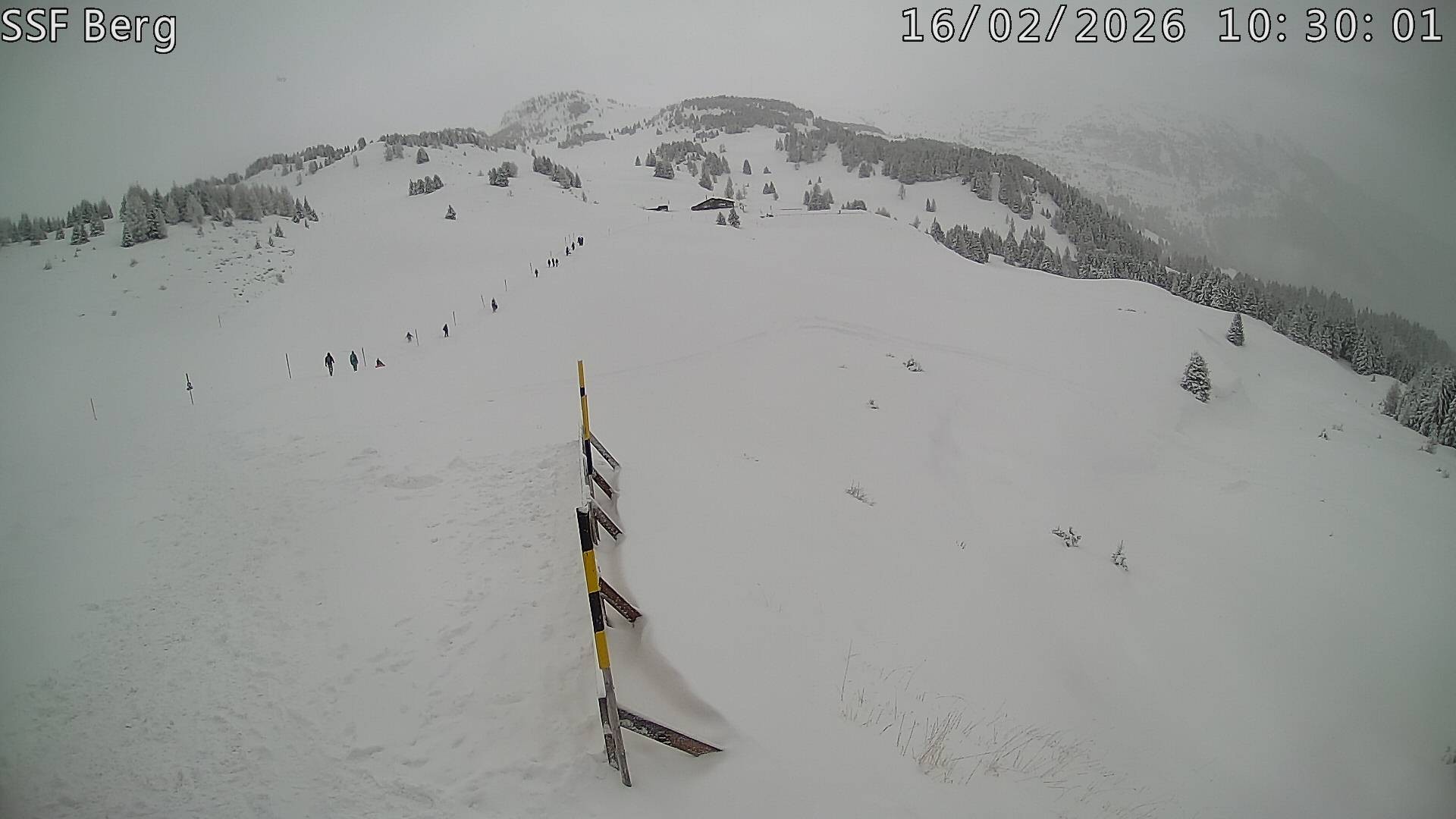 Archiv Foto Webcam Mutta Richtung Alp Raguta