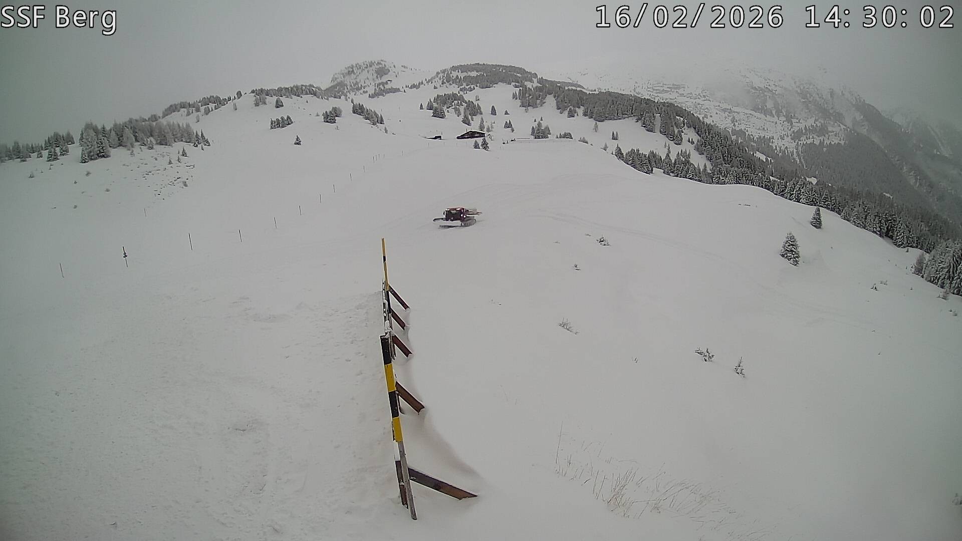 Archiv Foto Webcam Mutta Richtung Alp Raguta