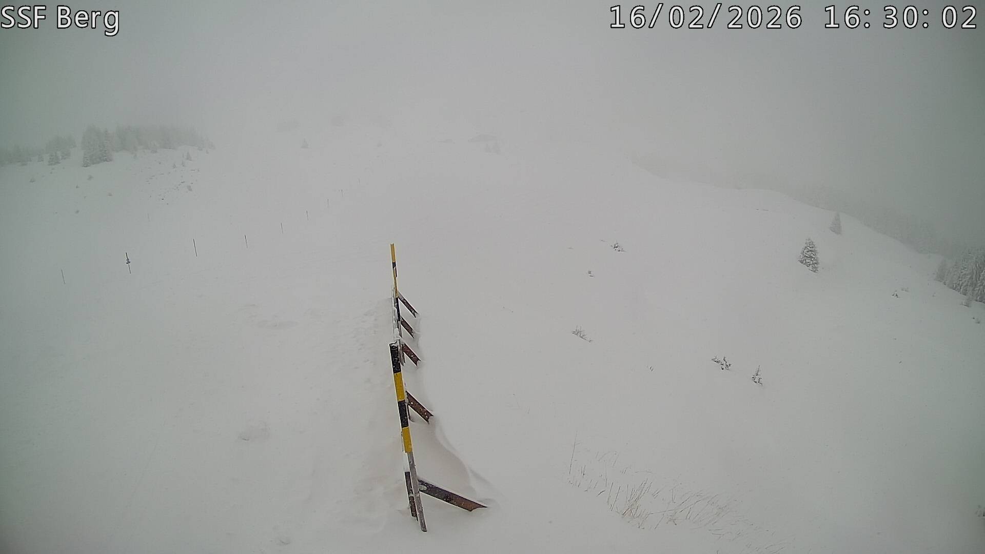 Archiv Foto Webcam Mutta Richtung Alp Raguta