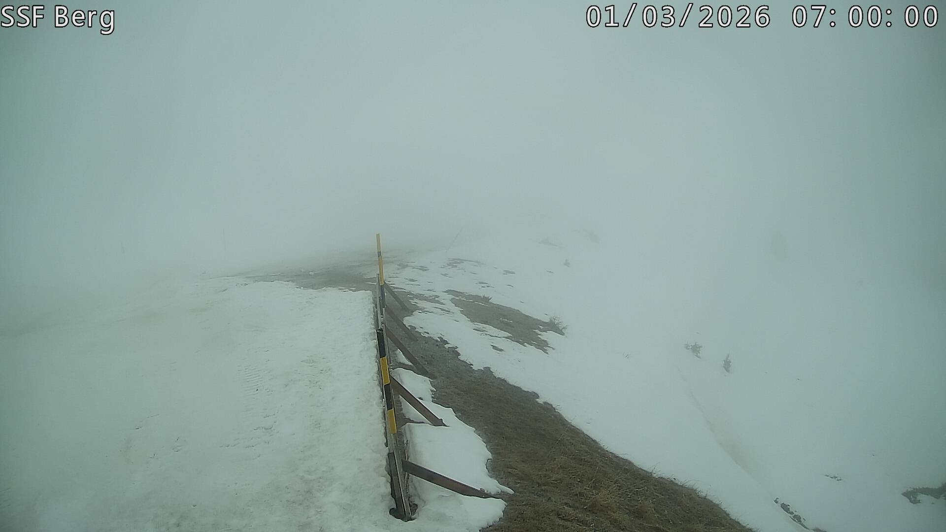 Archived image Webcam Mutta - Alp Raguta