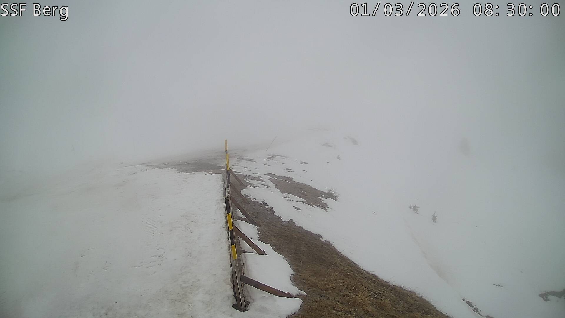 Archived image Webcam Mutta - Alp Raguta