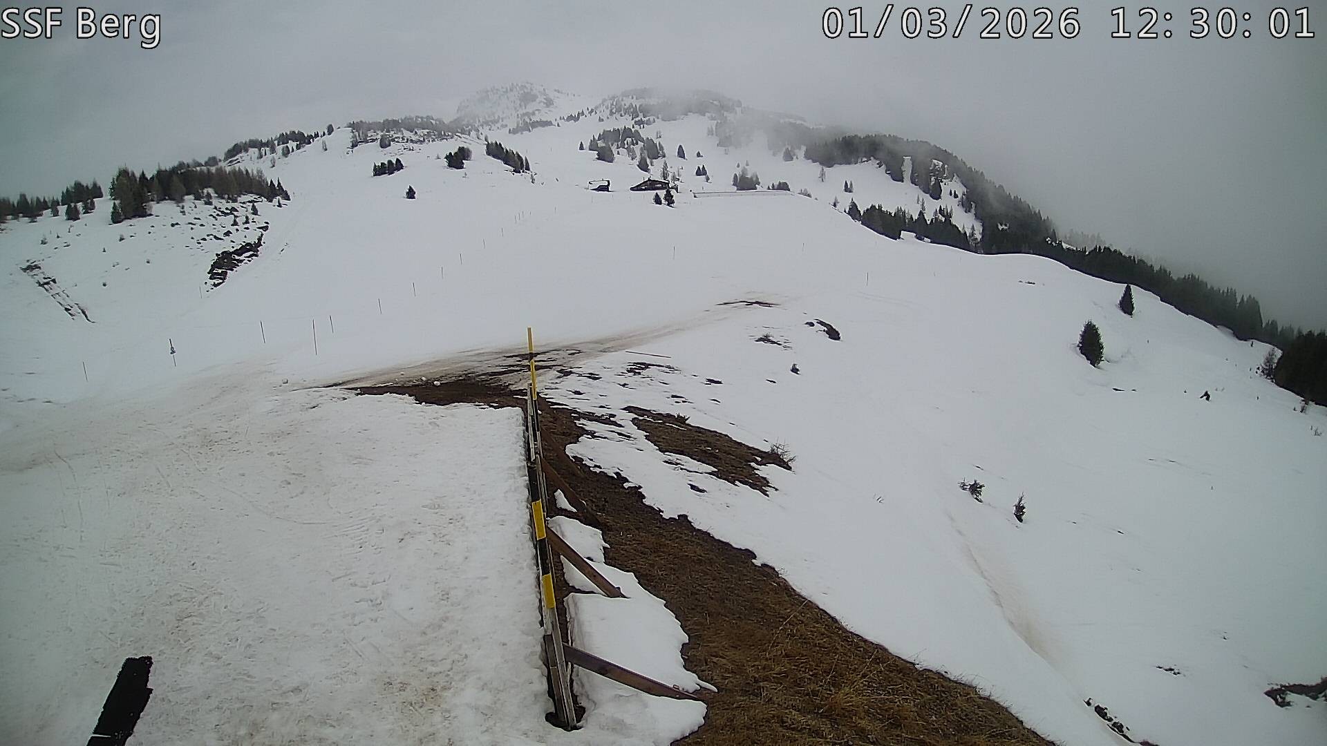 Archived image Webcam Mutta - Alp Raguta