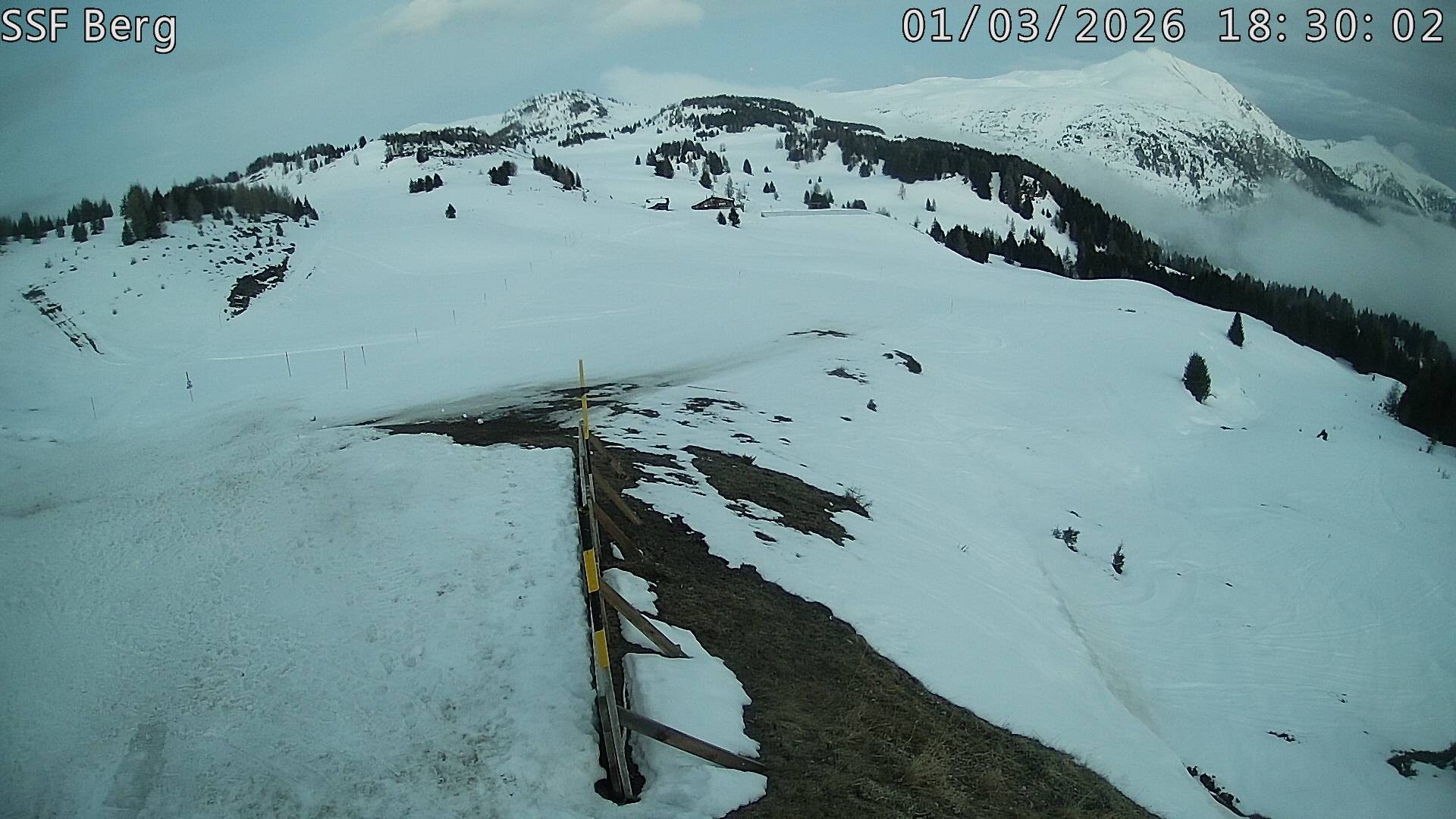 Archived image Webcam Mutta - Alp Raguta