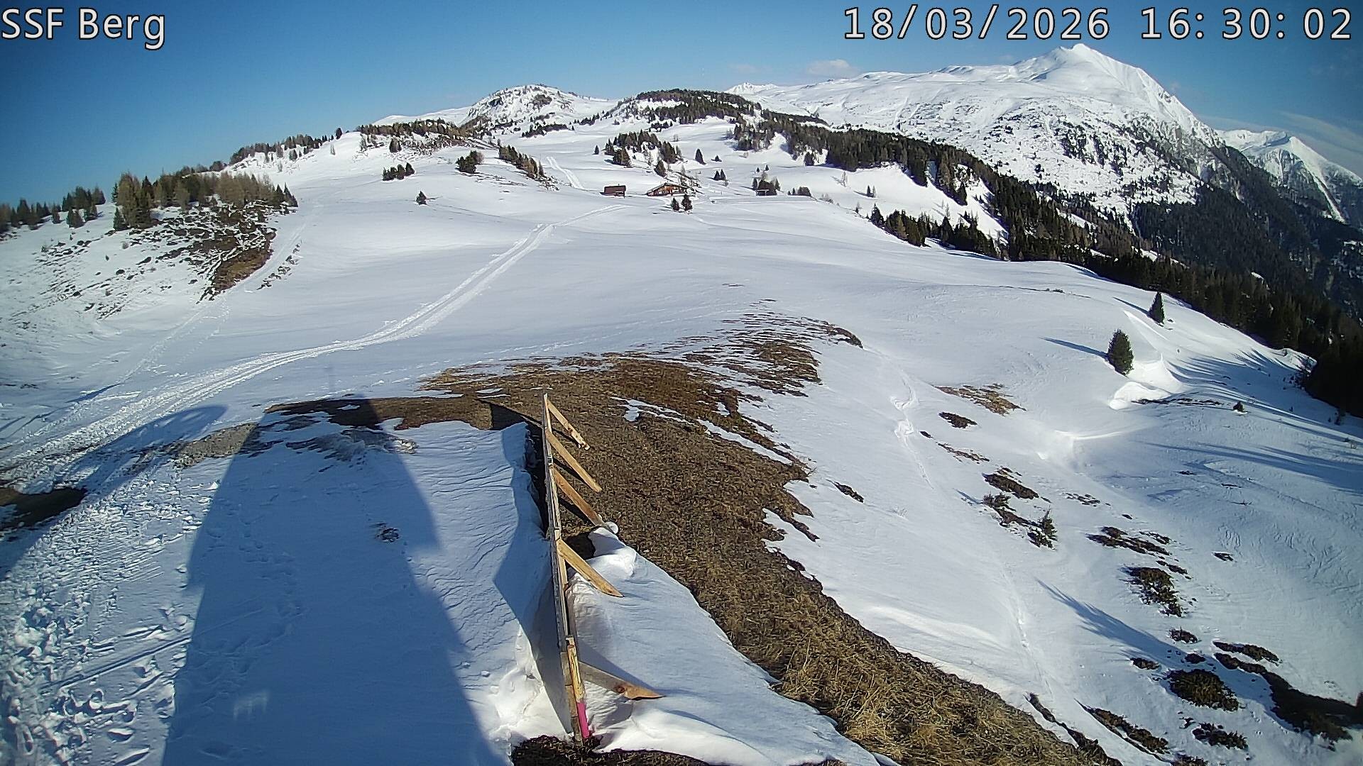 Archived image Webcam Mutta - Alp Raguta
