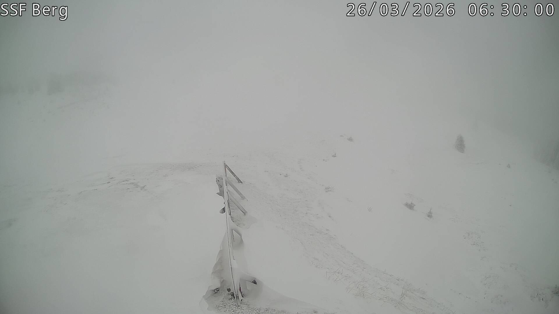 Archiv Foto Webcam Mutta Richtung Alp Raguta