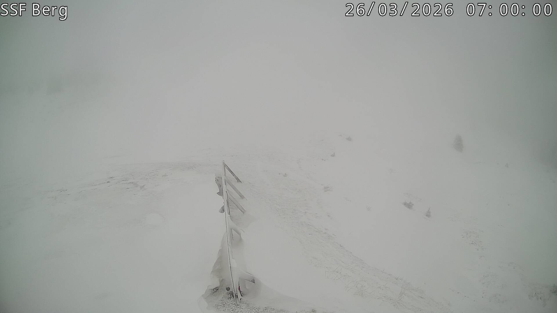 Archiv Foto Webcam Mutta Richtung Alp Raguta