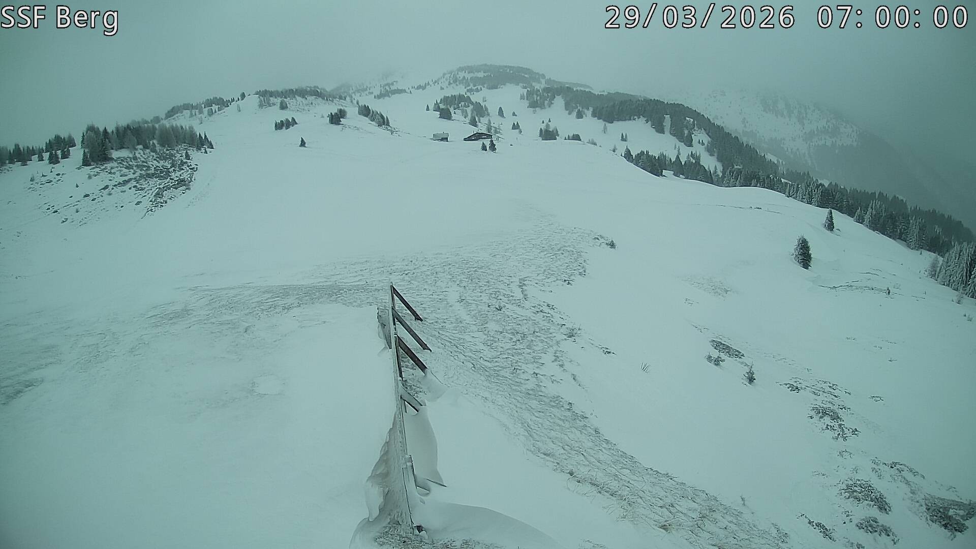 Archiv Foto Webcam Mutta Richtung Alp Raguta