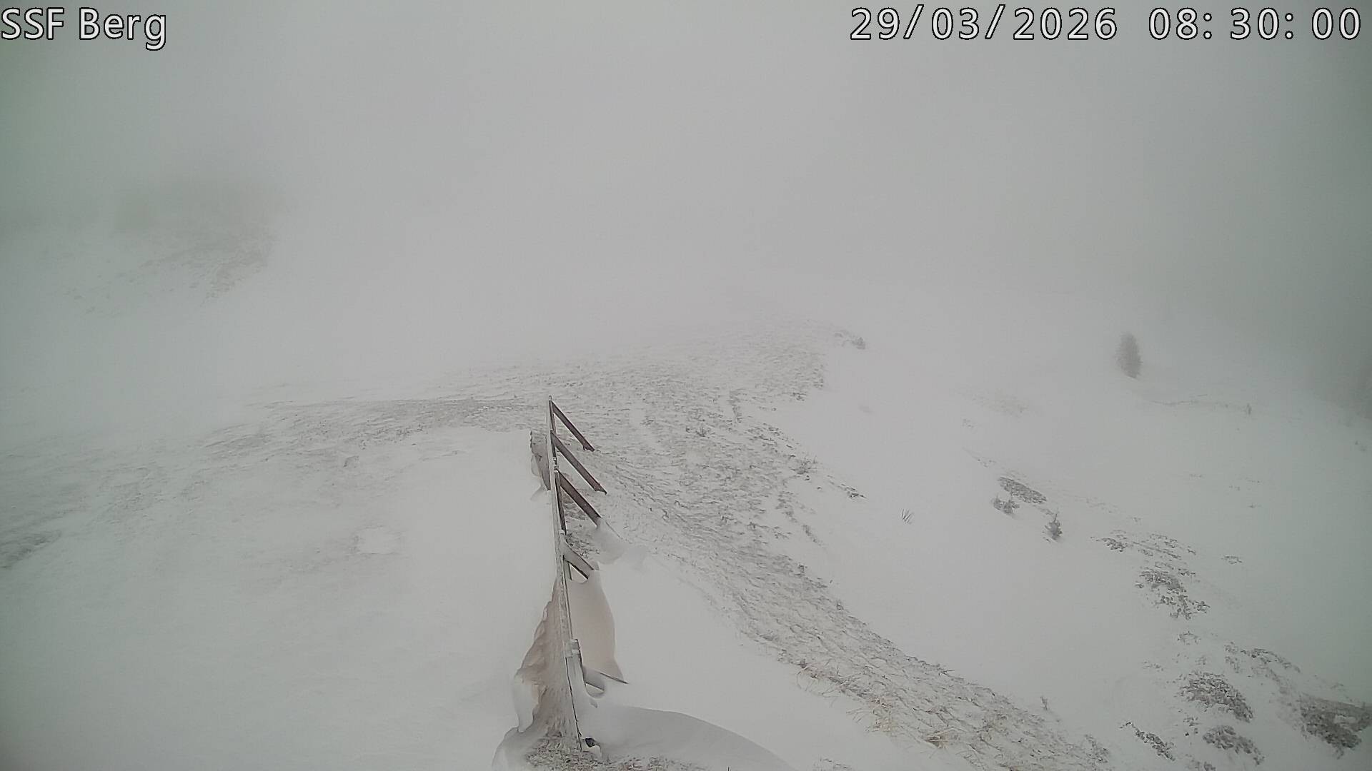 Archiv Foto Webcam Mutta Richtung Alp Raguta