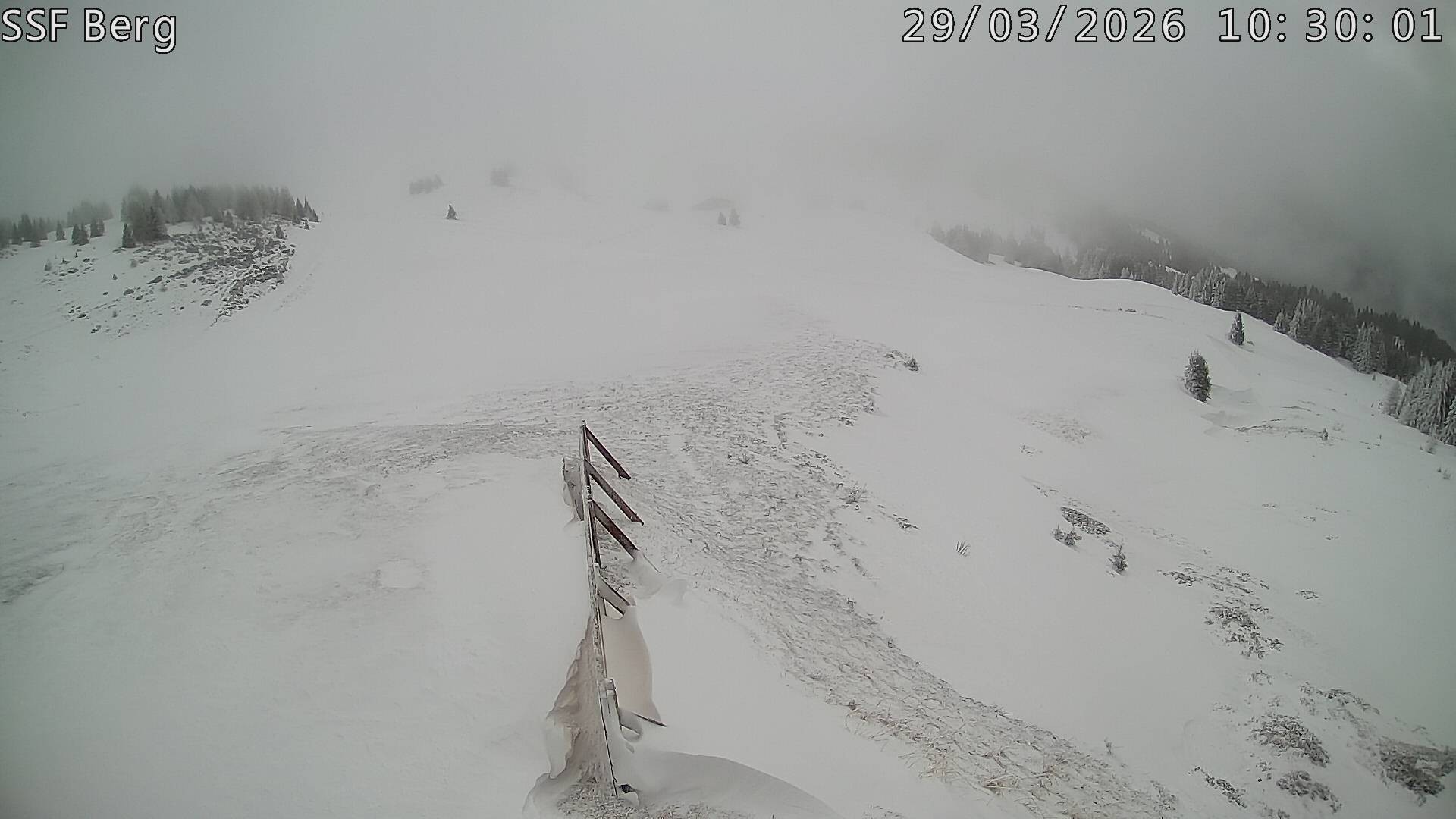 Archiv Foto Webcam Mutta Richtung Alp Raguta