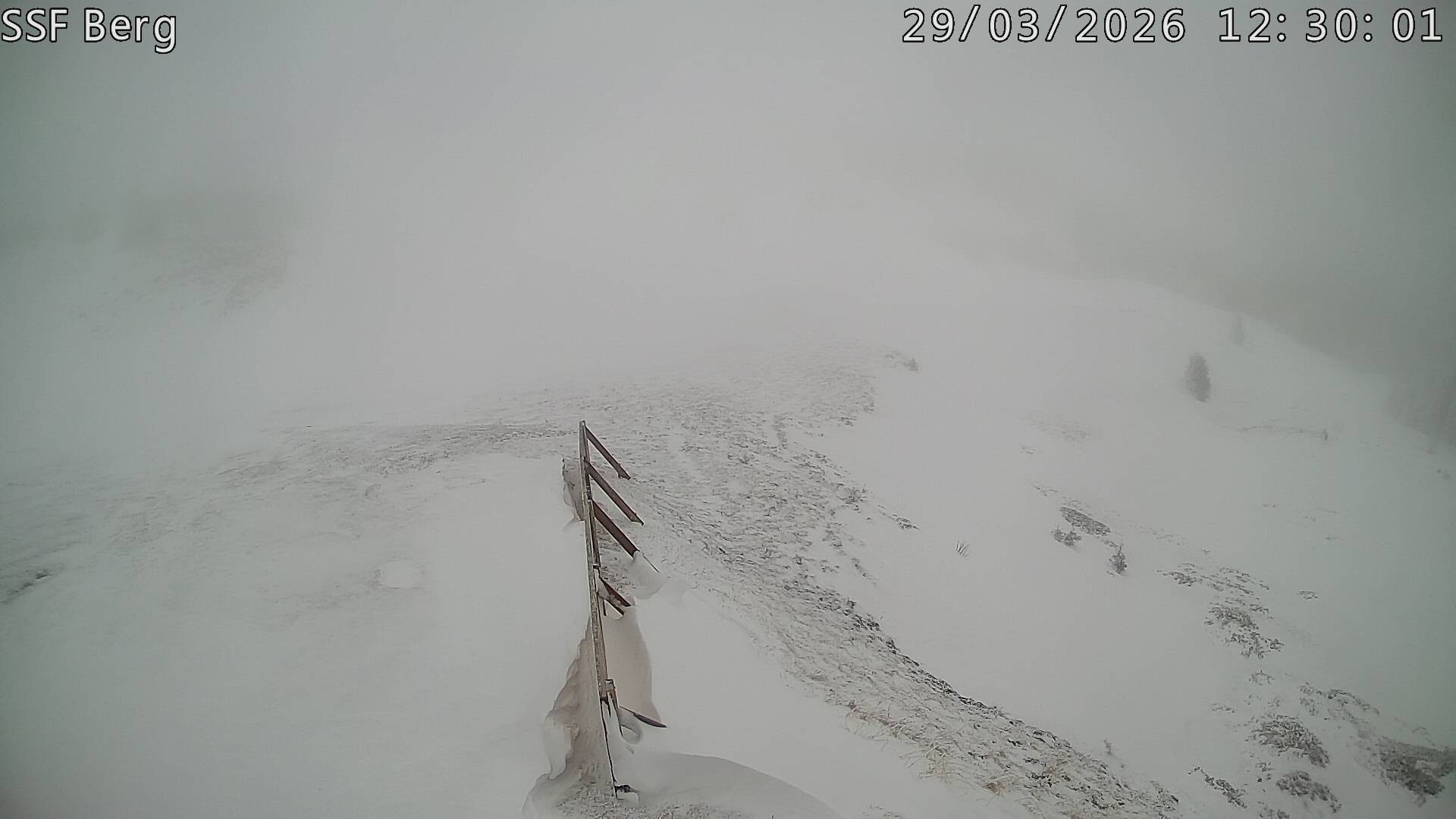 Archiv Foto Webcam Mutta Richtung Alp Raguta