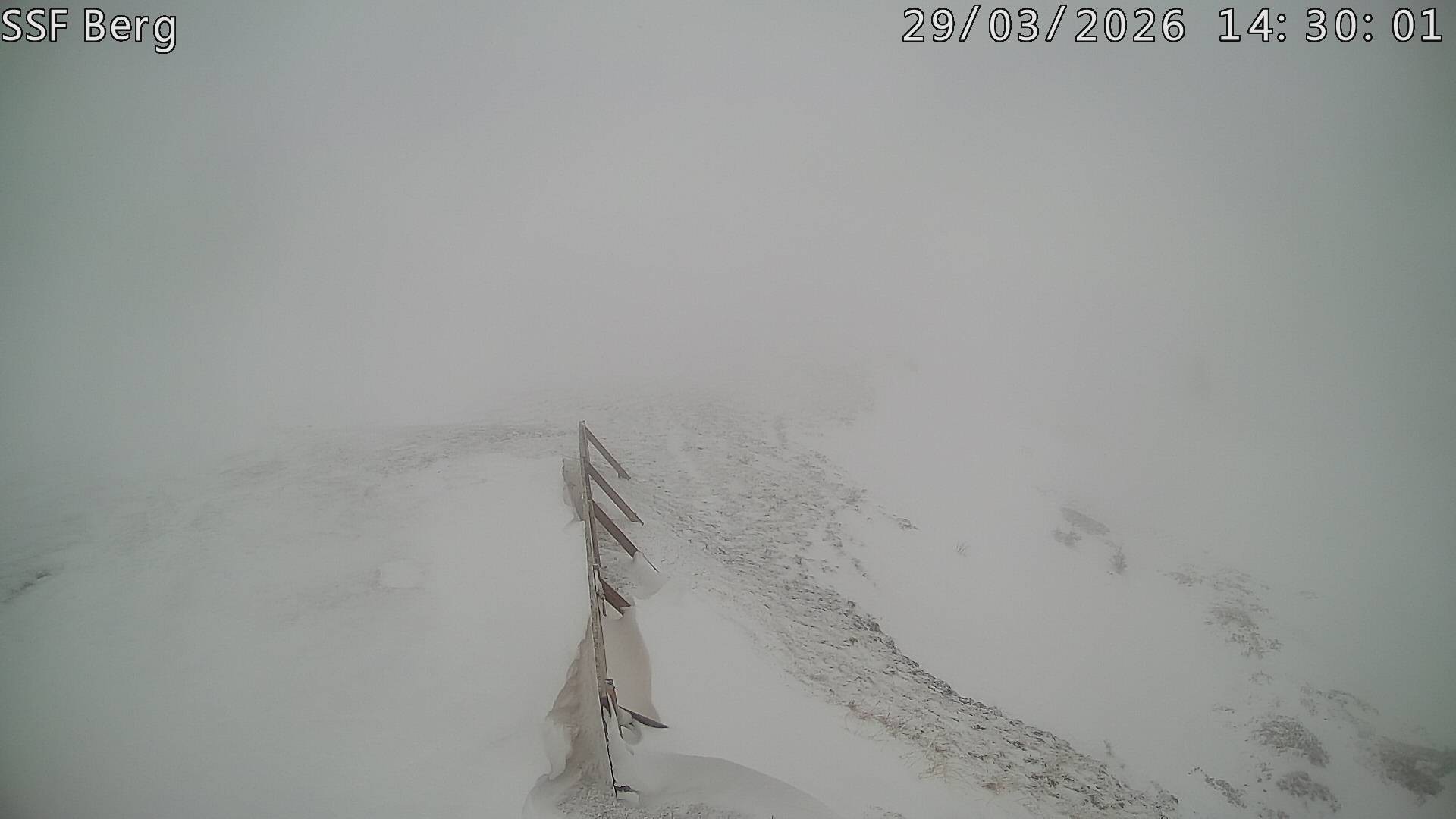 Archiv Foto Webcam Mutta Richtung Alp Raguta