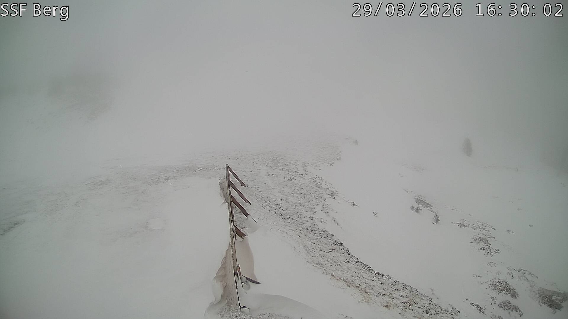 Archiv Foto Webcam Mutta Richtung Alp Raguta