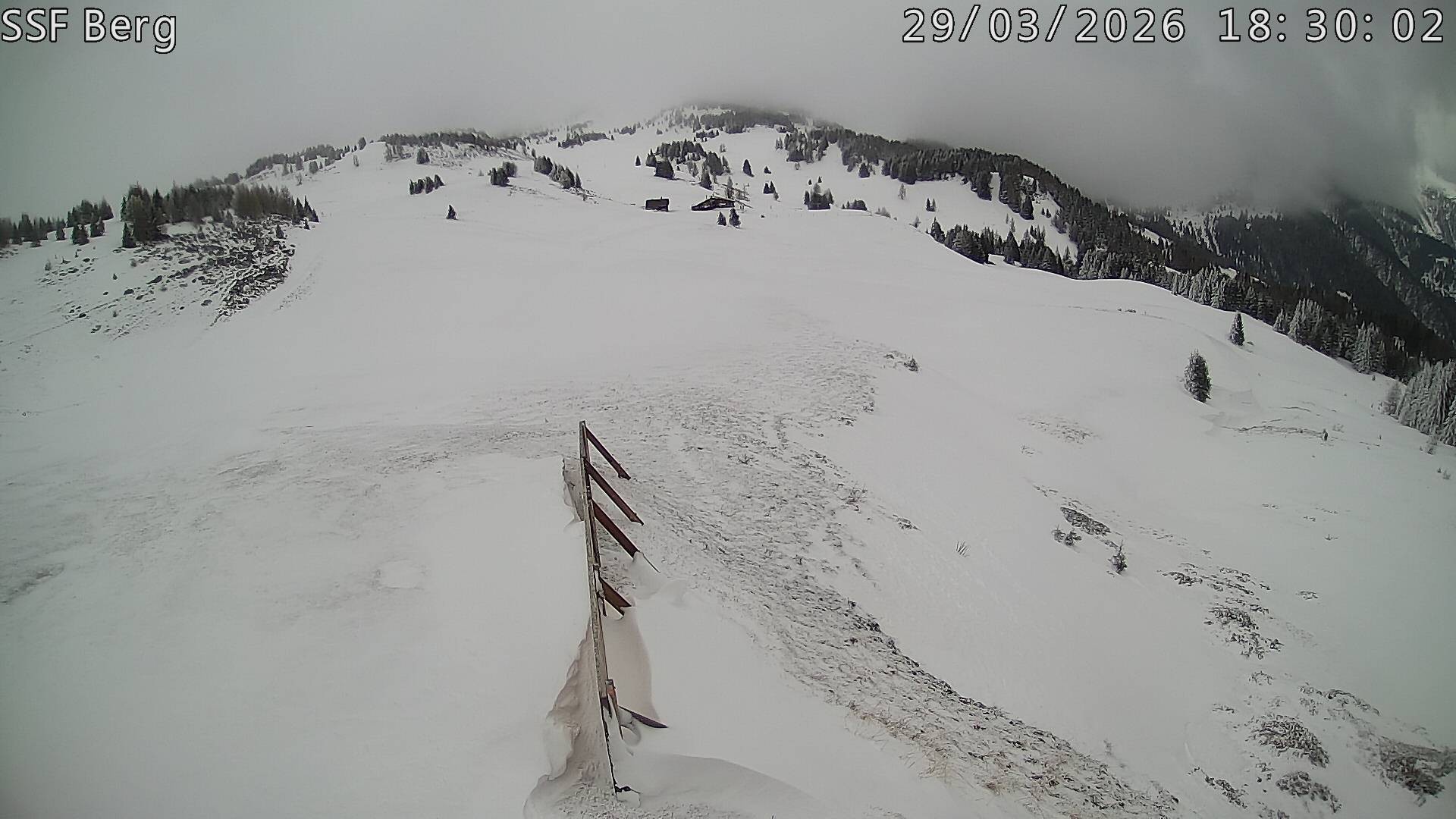 Archiv Foto Webcam Mutta Richtung Alp Raguta