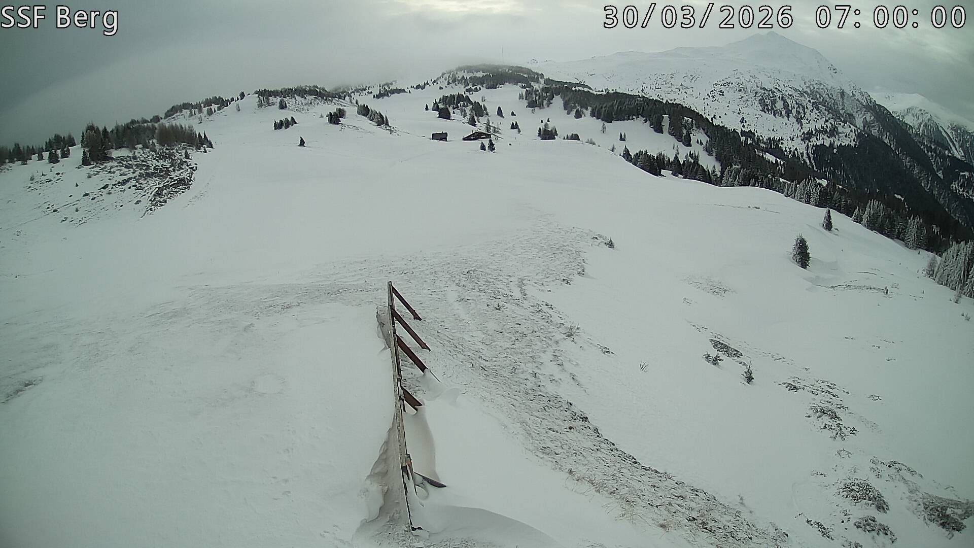 Archived image Webcam Mutta - Alp Raguta