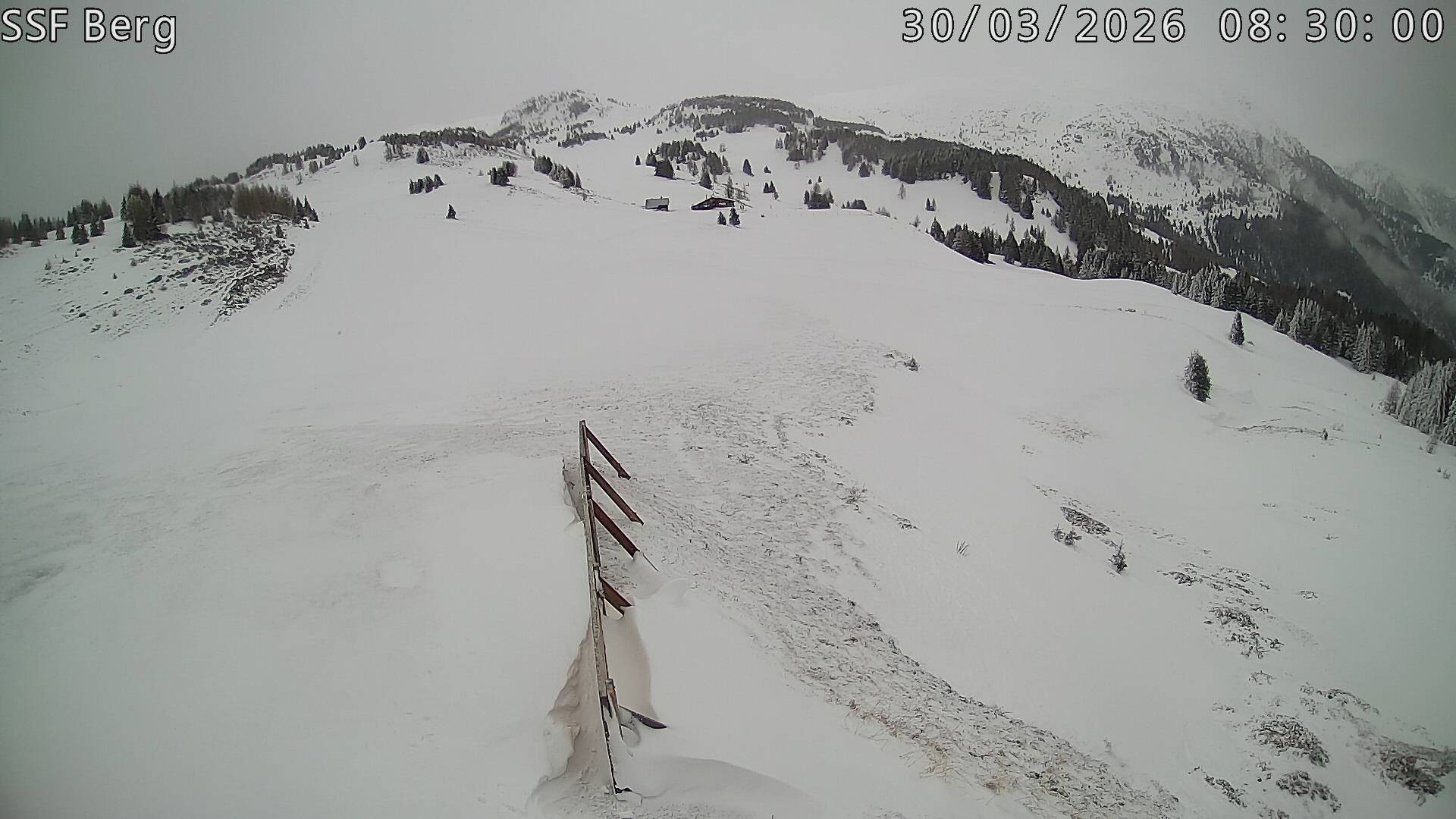 Archived image Webcam Mutta - Alp Raguta