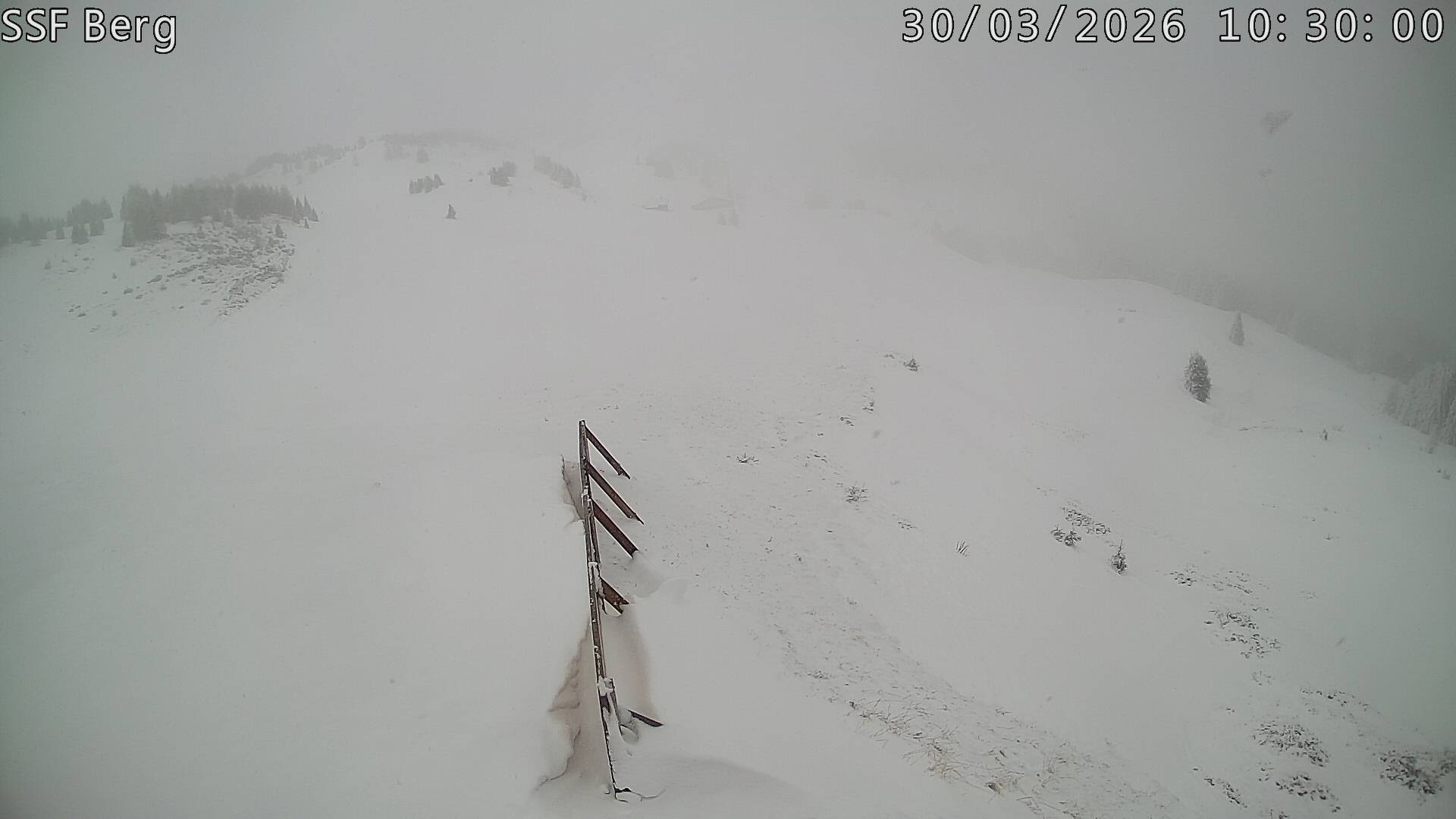 Archived image Webcam Mutta - Alp Raguta