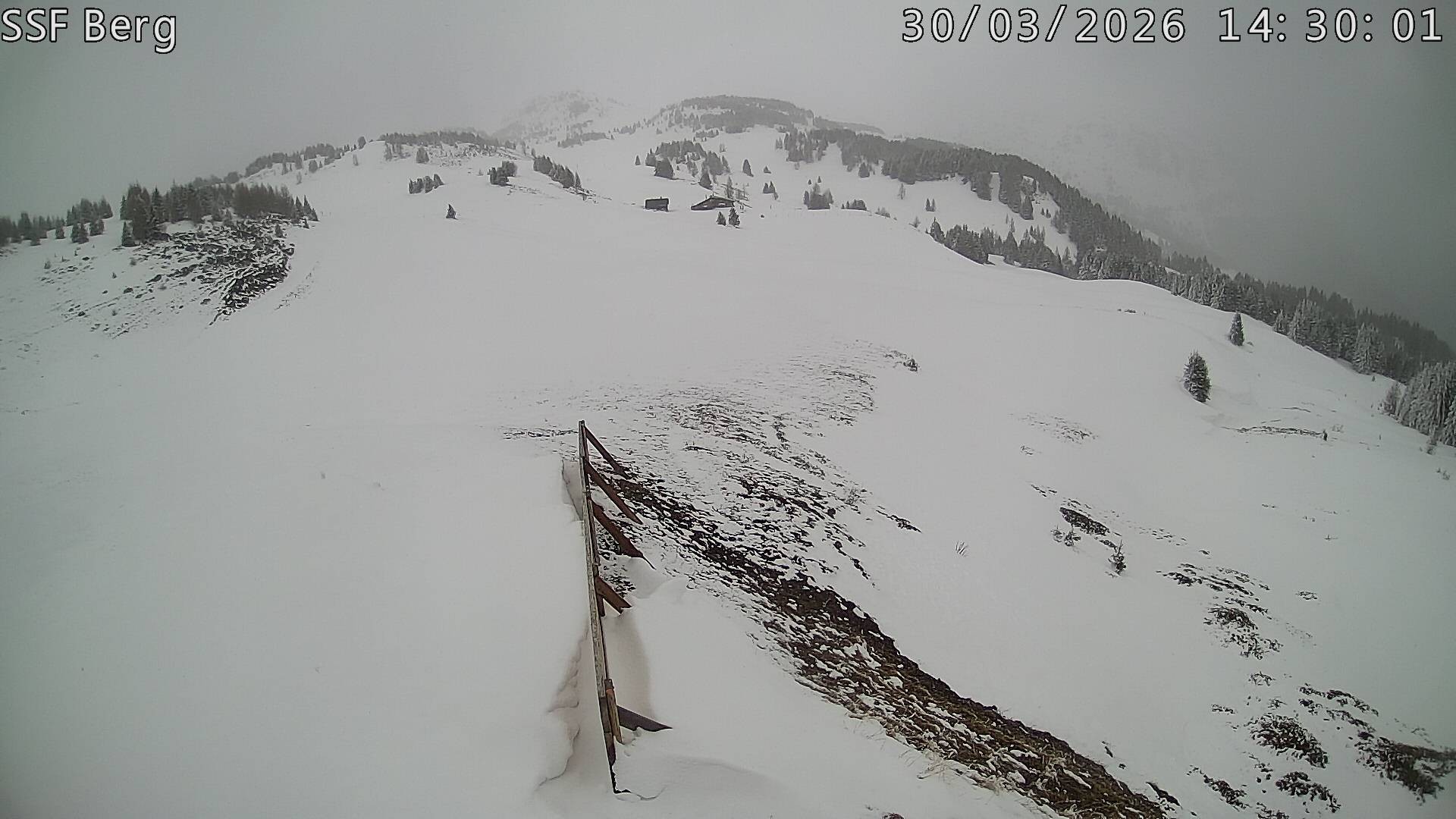 Archived image Webcam Mutta - Alp Raguta