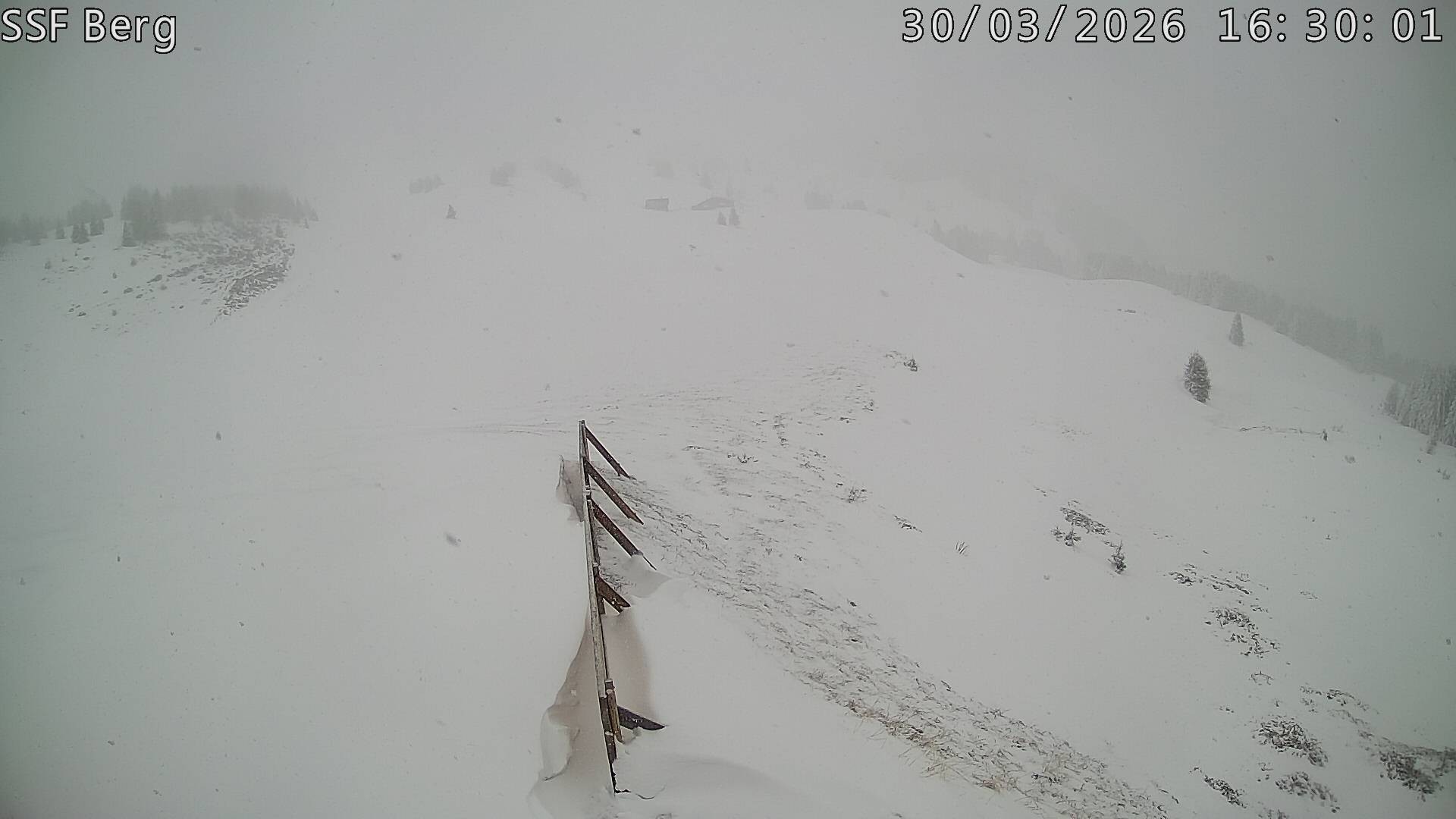 Archiv Foto Webcam Mutta Richtung Alp Raguta