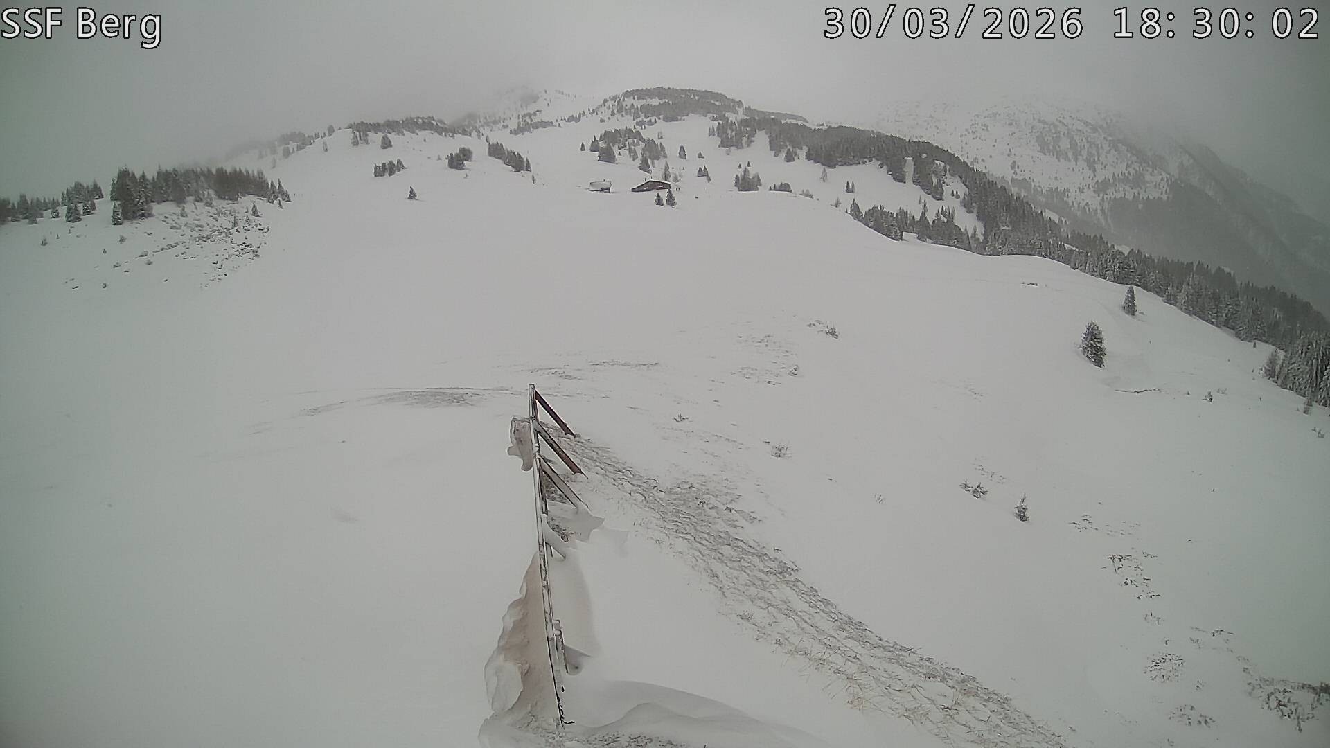 Archiv Foto Webcam Mutta Richtung Alp Raguta