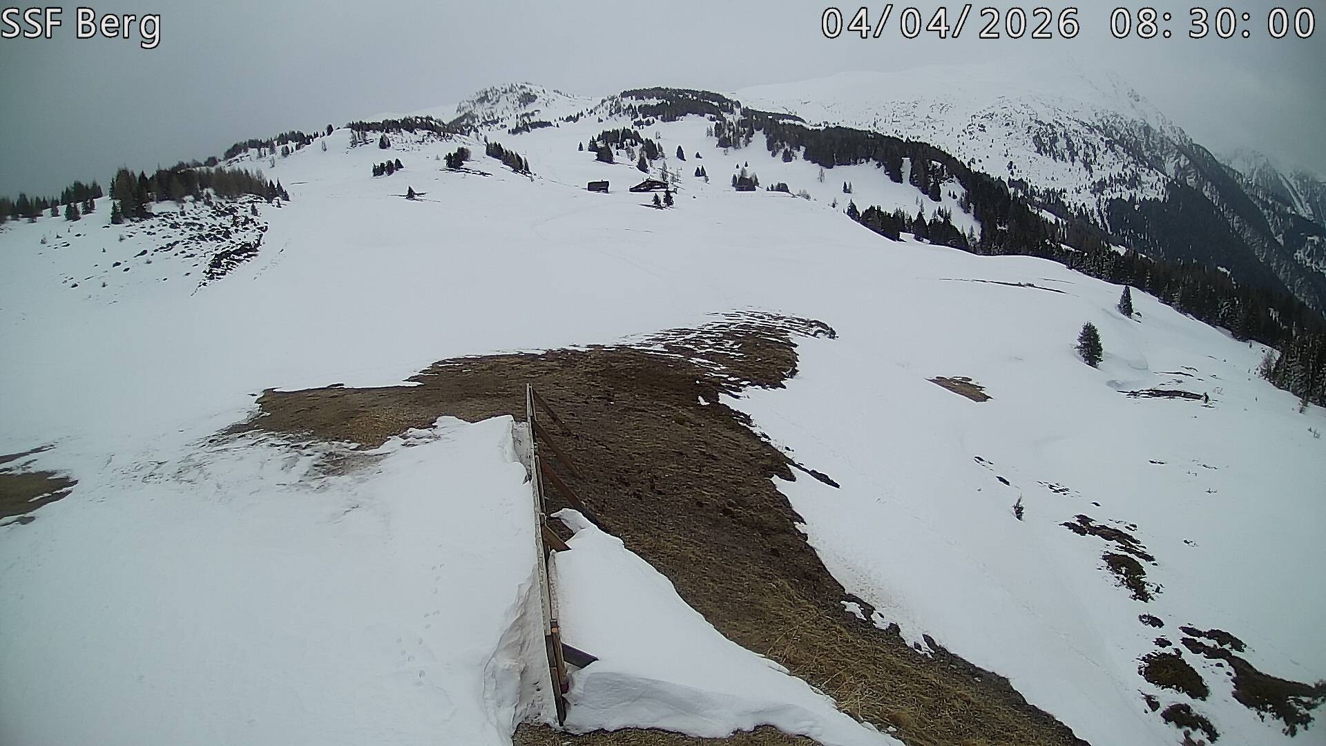 Archiv Foto Webcam Mutta Richtung Alp Raguta