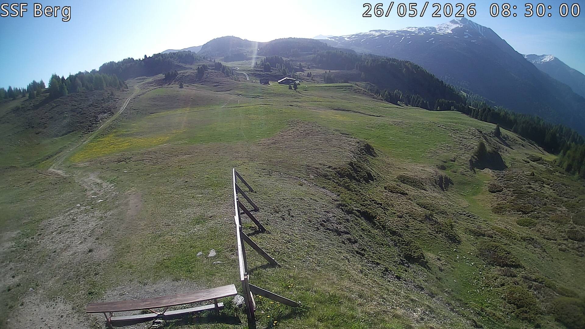 Archived image Webcam Mutta - Alp Raguta