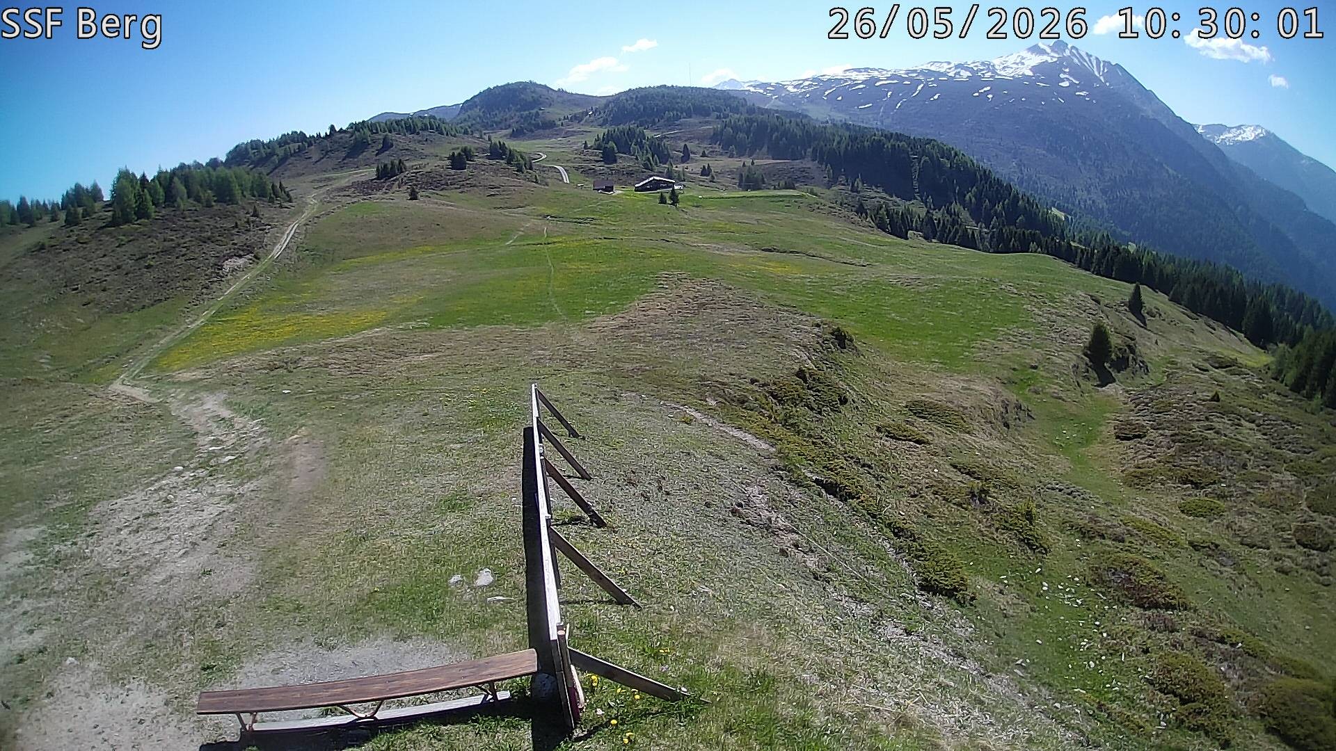 Archived image Webcam Mutta - Alp Raguta