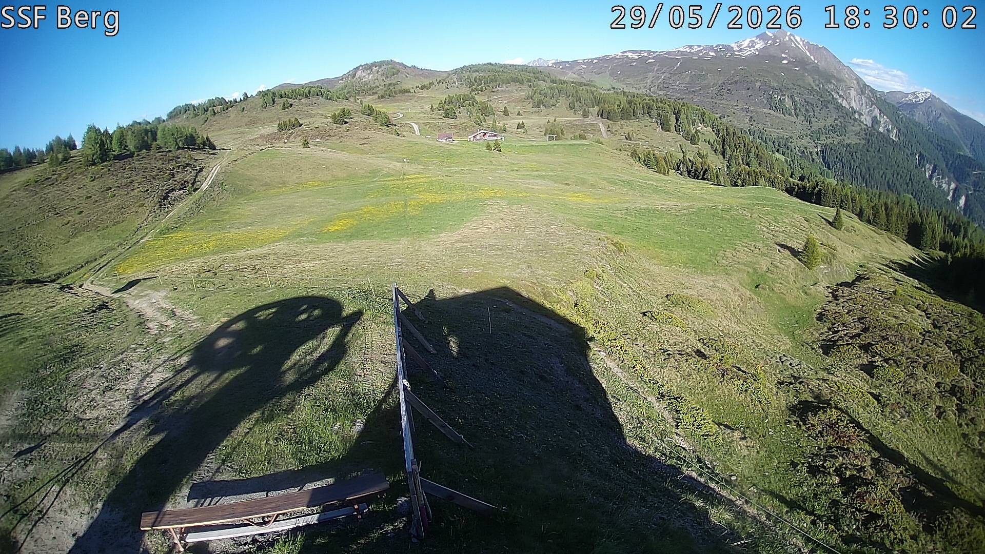 Archived image Webcam Mutta - Alp Raguta