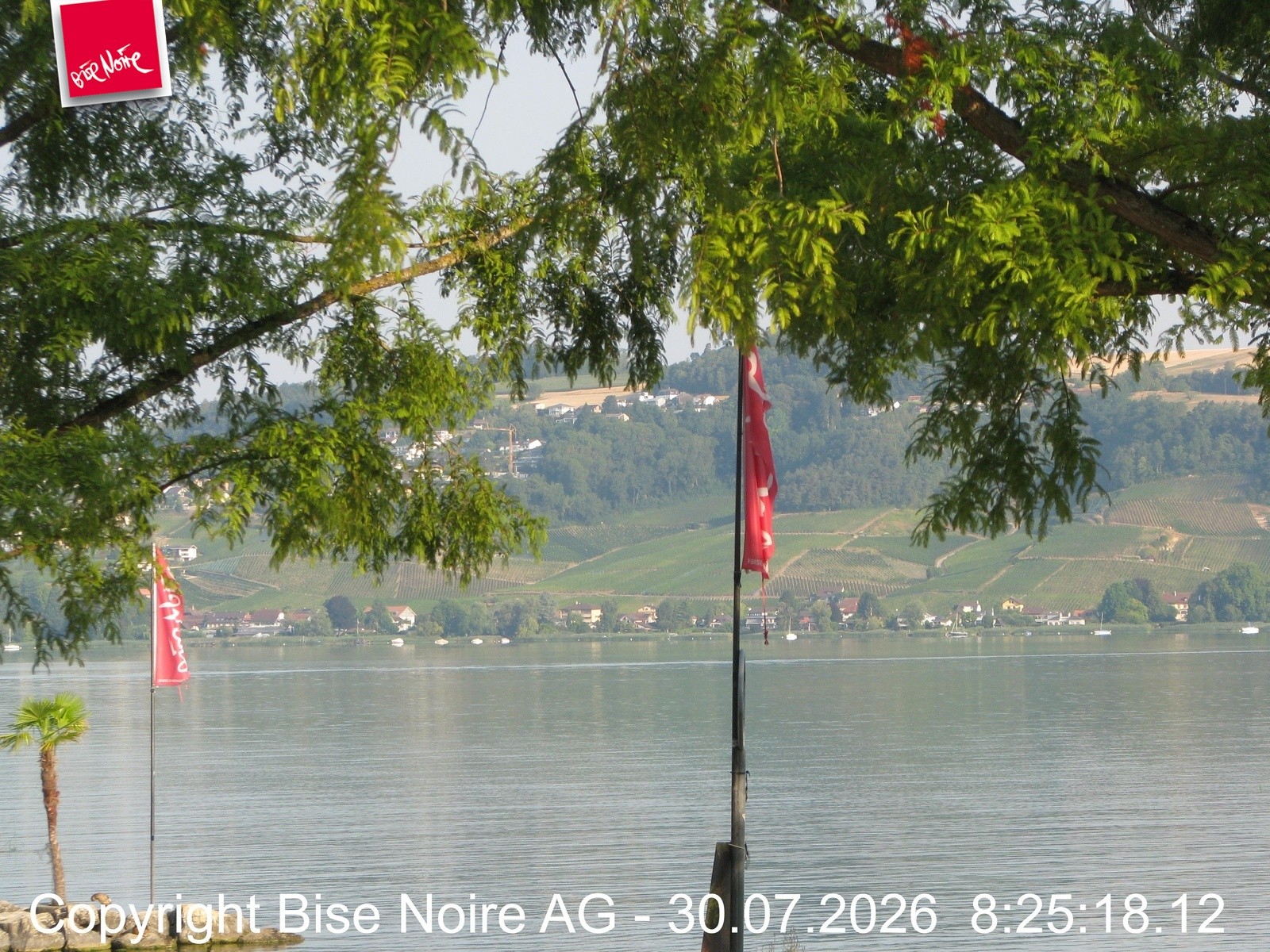 Archiv Foto Webcam Morat-See, Murten
