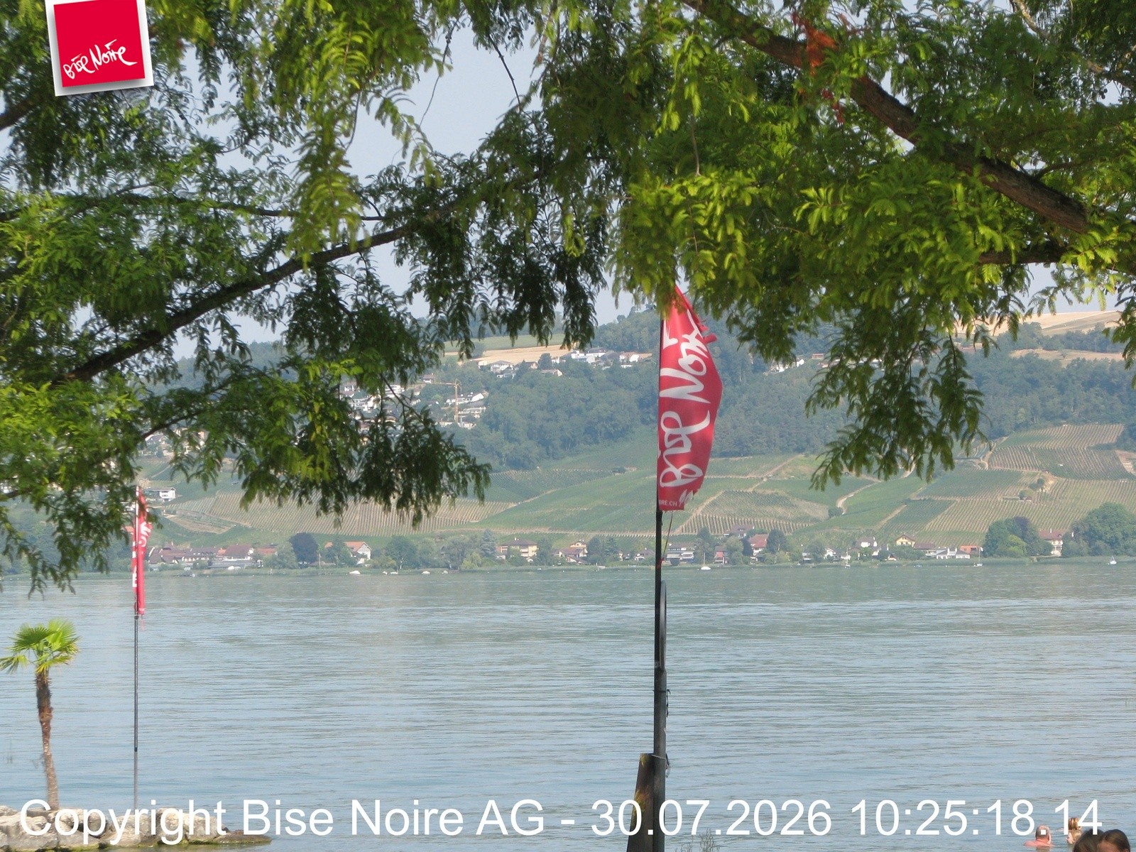 Archiv Foto Webcam Morat-See, Murten