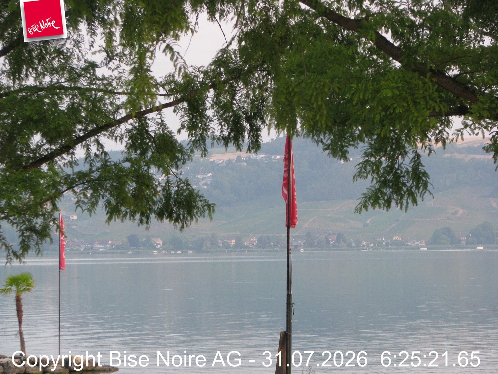 Archiv Foto Webcam Morat-See, Murten