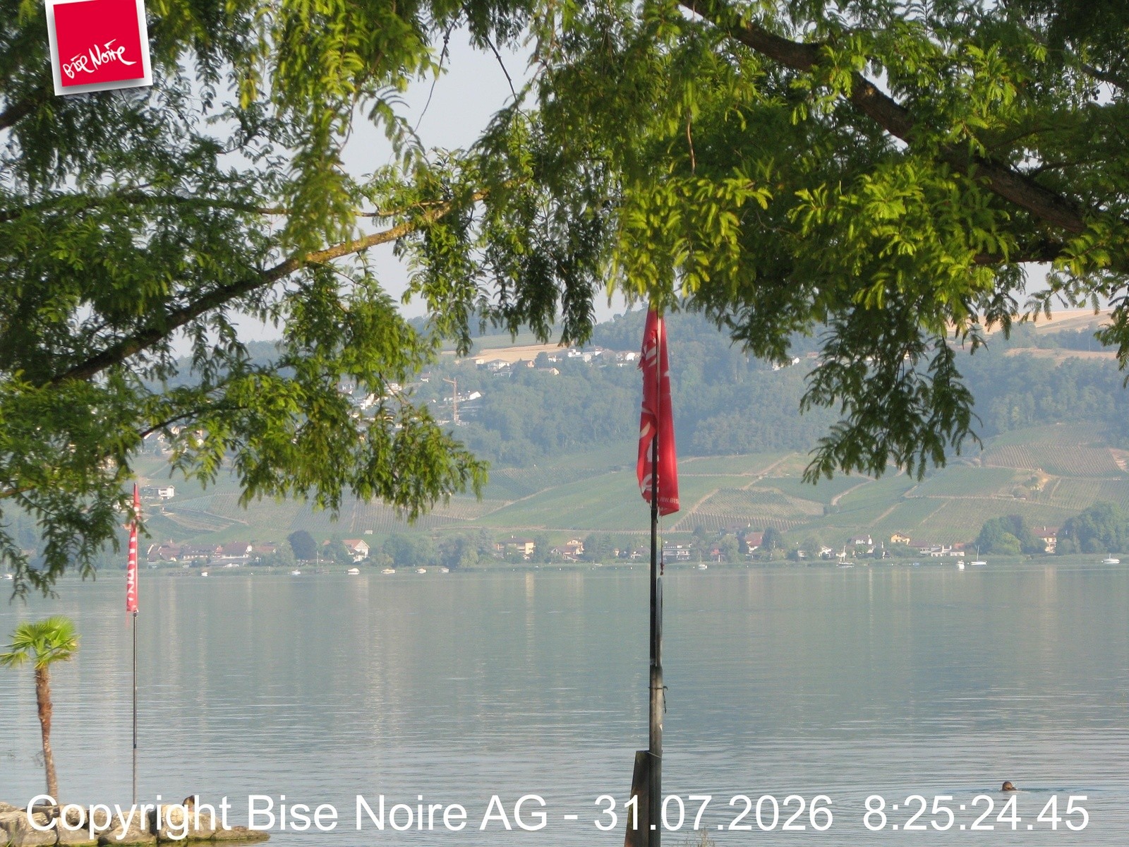 Archiv Foto Webcam Morat-See, Murten