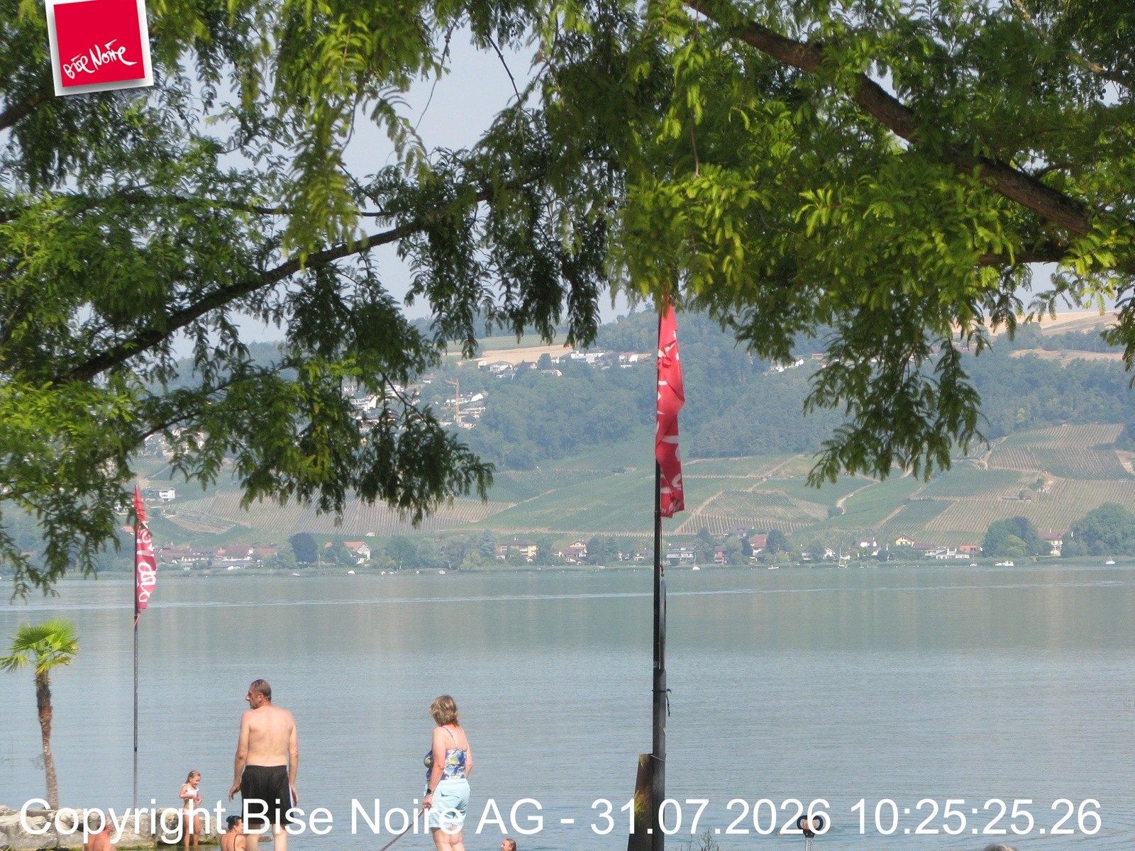 Archiv Foto Webcam Morat-See, Murten
