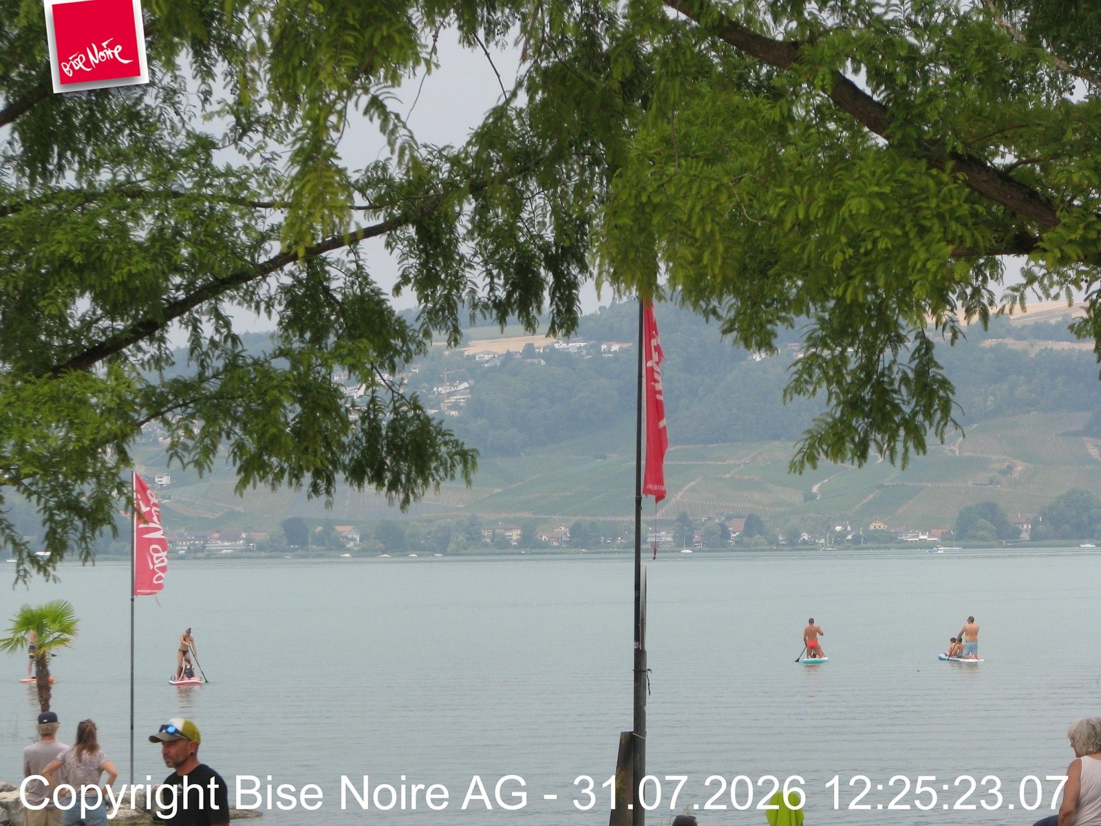 Archiv Foto Webcam Morat-See, Murten