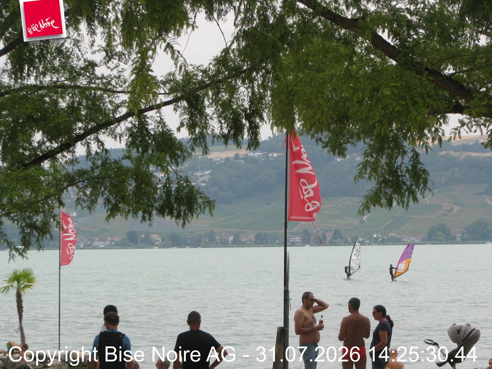 Archiv Foto Webcam Morat-See, Murten