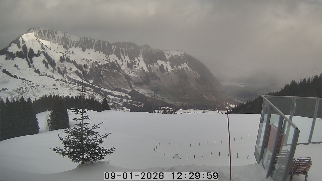 Archiv Foto Webcam Gummenalp