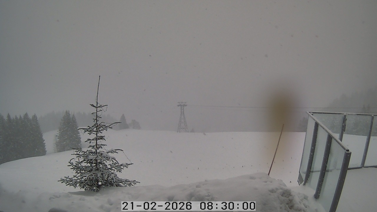 Archiv Foto Webcam Gummenalp