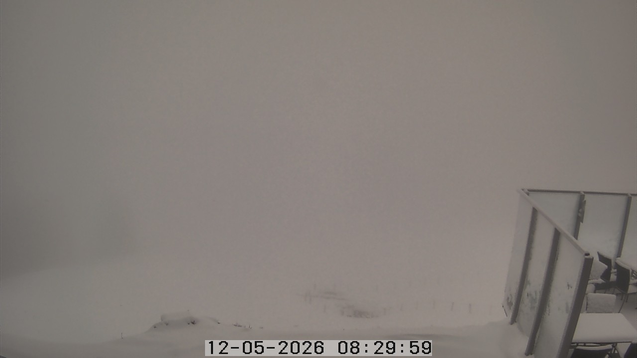 Archiv Foto Webcam Gummenalp