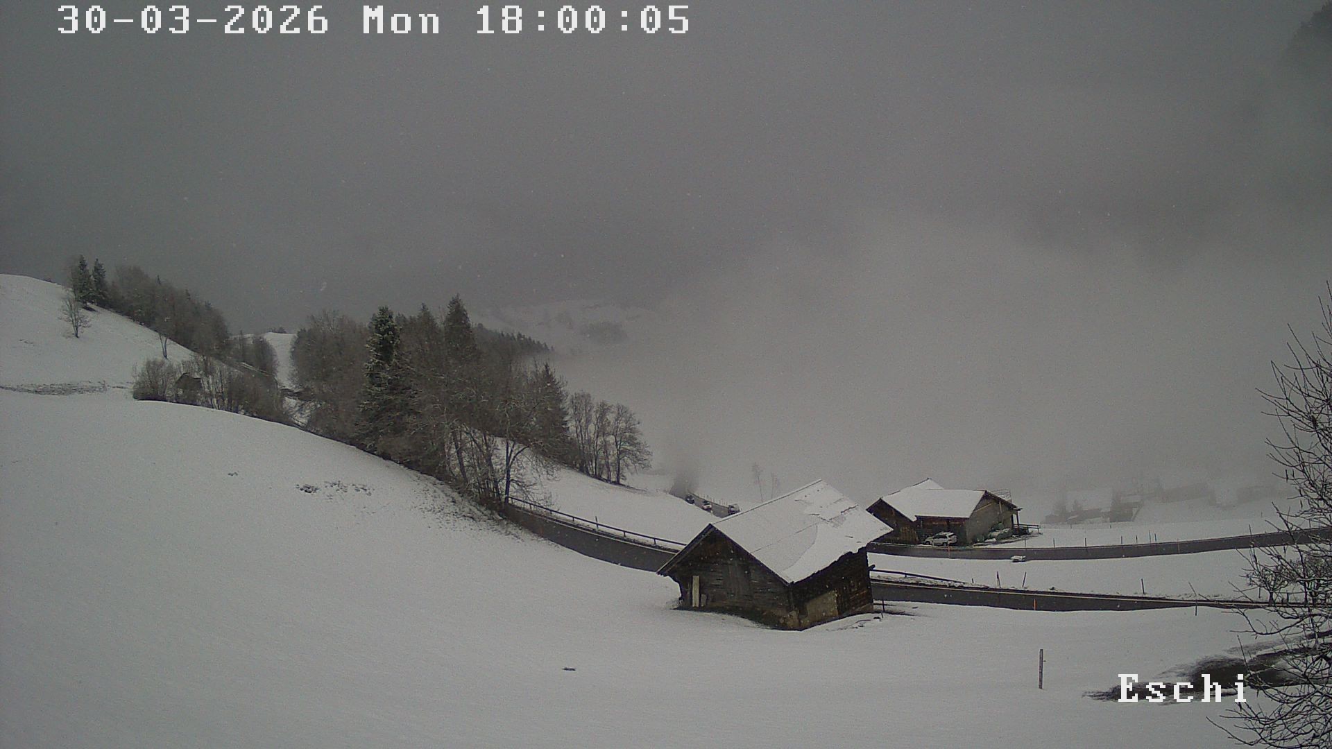 Archiv Foto Webcam in Boltigen-Eschi am Jaunpass