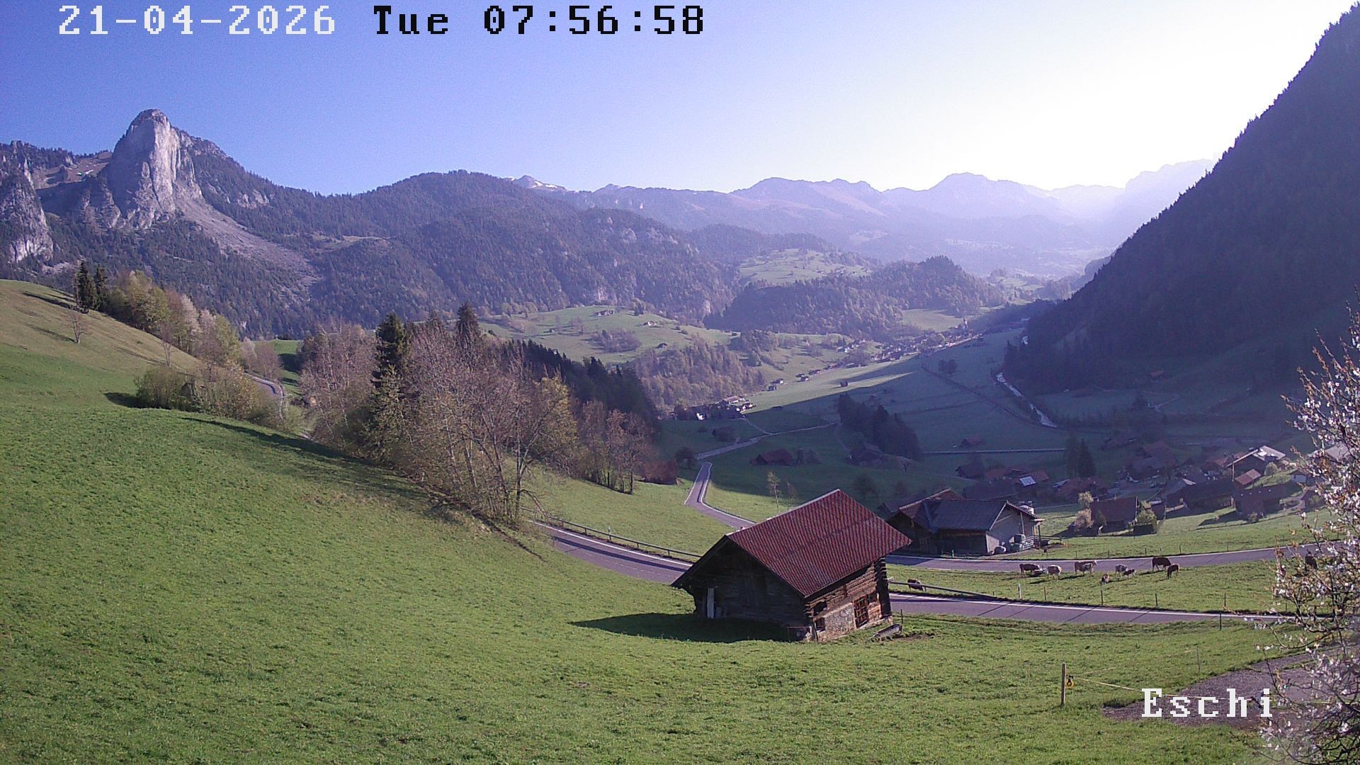 Archiv Foto Webcam in Boltigen-Eschi am Jaunpass